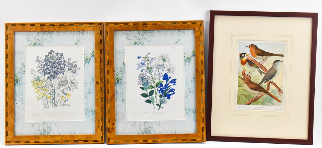 FRAMED NATURAL HISTORY PRINTS: FLORAL AND BIRD ILLUSTRATIONS (1 of 3)
