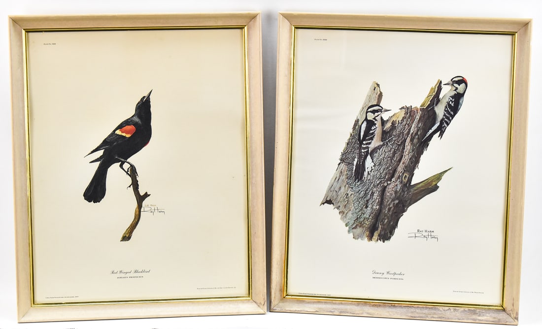 RAY HARM 'RED-WINGED BLACKBIRD' & 'DOWNY WOODPECKER' SIGNED LITHOGRAPHS (1 of 6)