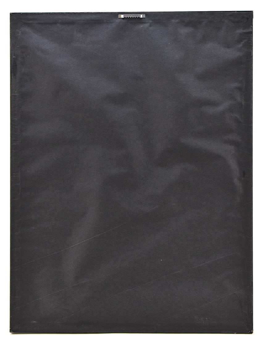 DAILEY BROS. CIRCUS POSTER - 4