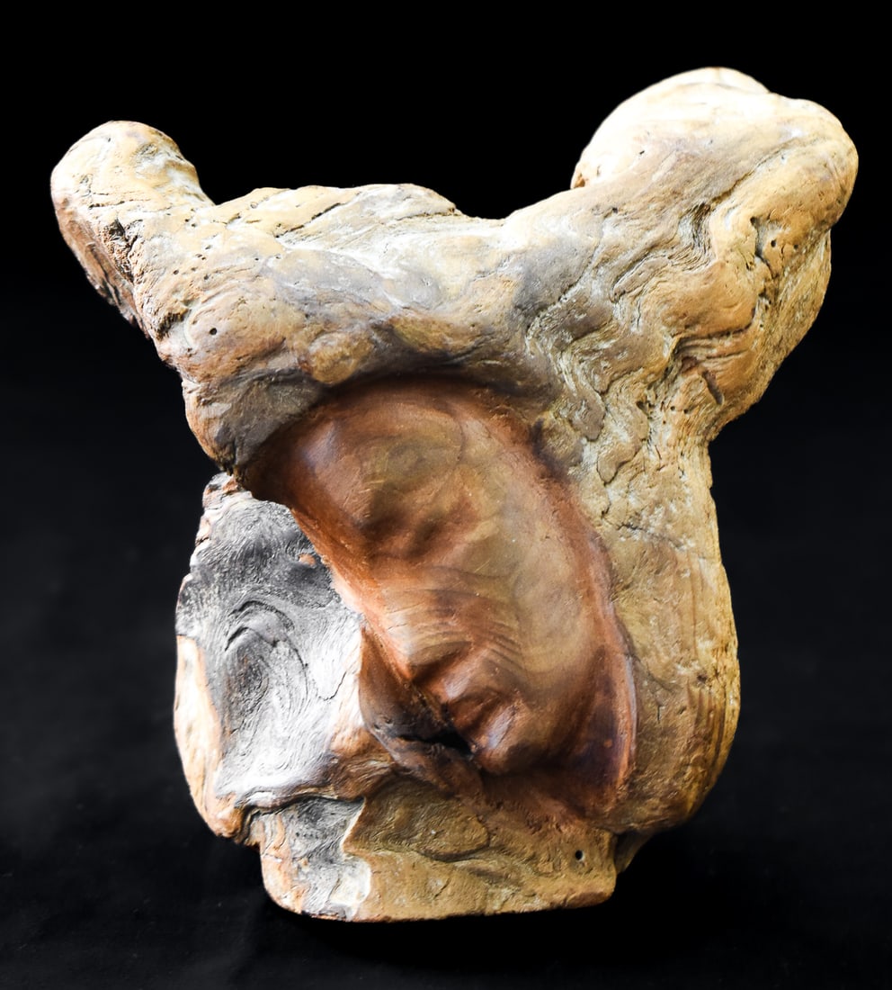 MID-CENTURY SIGNED FRITZ ABPLANALP NATURAL BURLED DRIFTWOOD CARVING: A Mid-Century signed Fritz Abplanalp (1907â€“1977) natural burled driftwood of a woman's face with hair in movement. The carving measures 5" H x 5.5" W x 3" D.