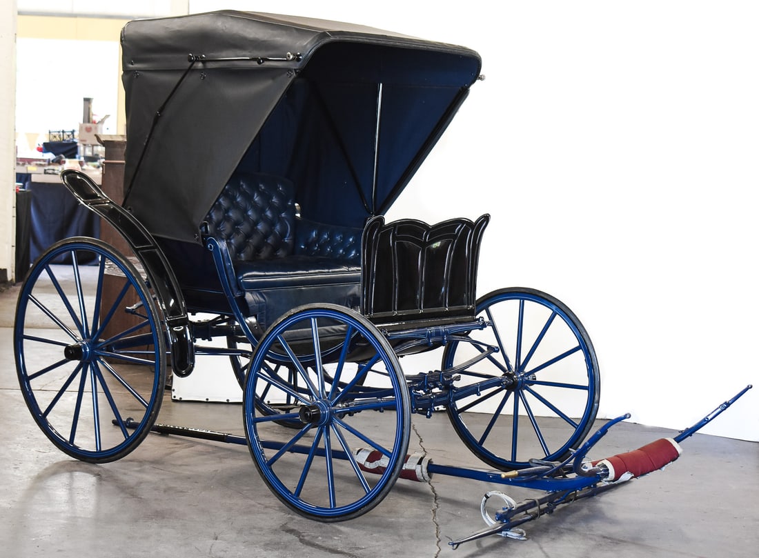 HORSE DRAWN DR'S BUGGY (1 of 3)
