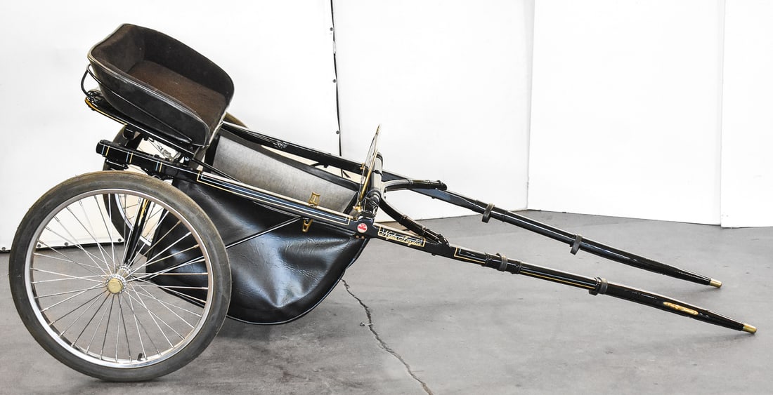 RESTORED SULKY EDUCATING CART (1 of 6)