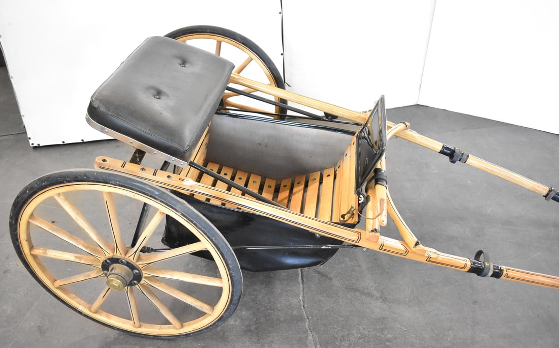 SULKY EDUCATING CART - 2
