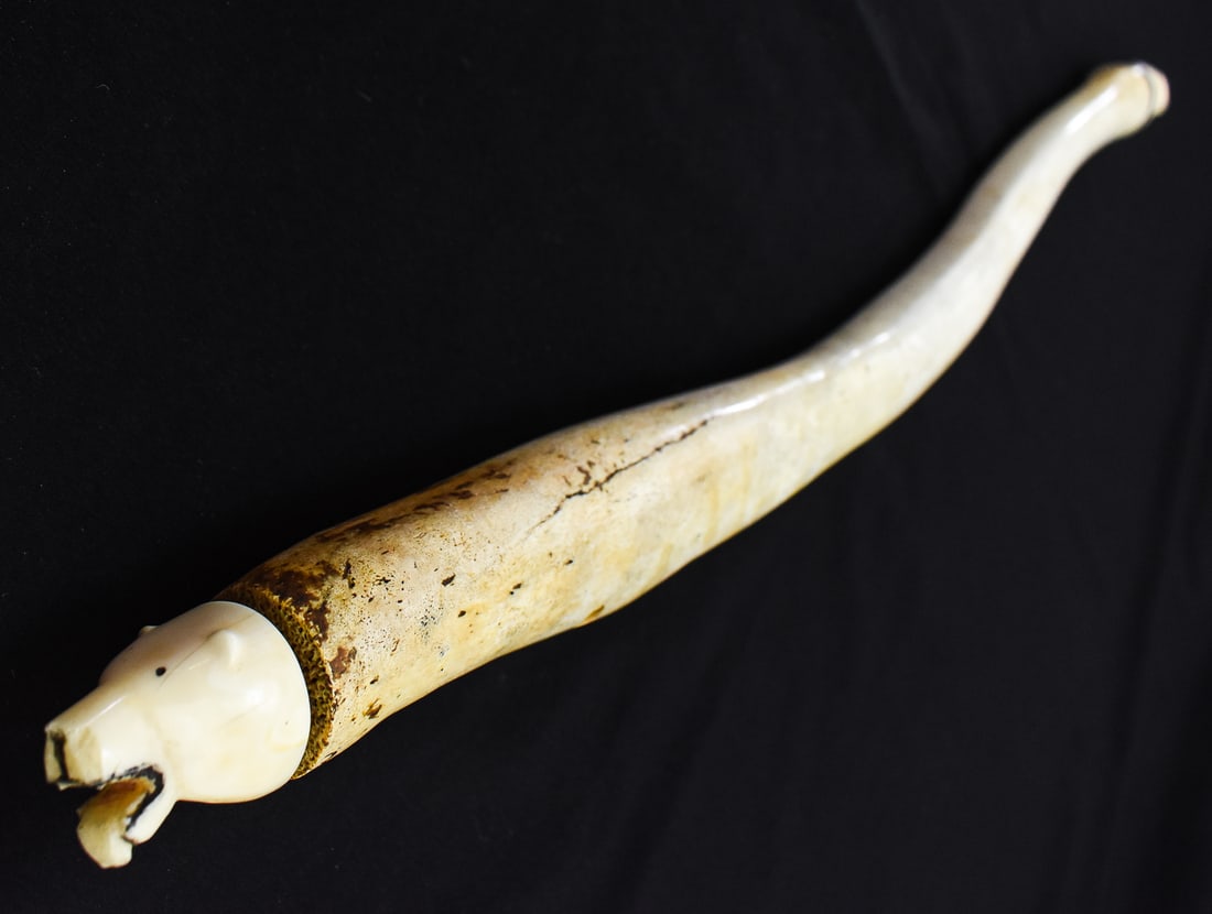 ALASKAN NATIVE ART OOSIK WITH CARVED WALRUS IVORY CAPS: An Alaskan Native carving consisting of a whale oosik (baculum bone) with two end pieces made of carved walrus ivory. The endcaps are carved in the figure of a walrus and of a bear. This carving measu