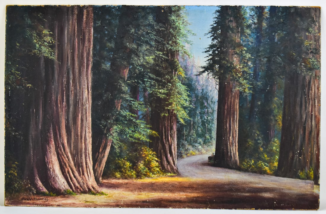 HAROLD SHANAHAN "ROAD THROUGH HUMBOLDT REDWOOD FOREST" CALIFORNIA OIL PAINTING: Original oil painting on board by listed artist Harold John Shanahan (CA, 1898-1945), signed lower left. Features Calfornia's road through Humboldt Redwood Forest. Art measures approximately 28"