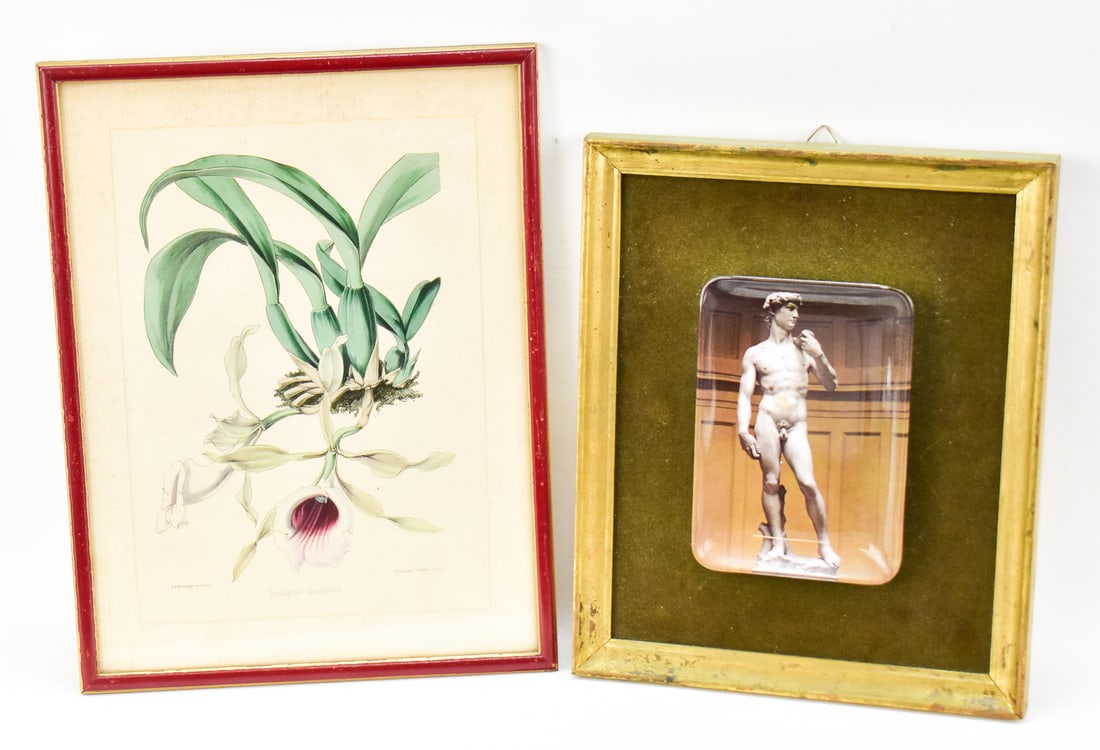 "TRICHOPILIA MARGINATA" C.T ROSENBERG ZINCOGRAPH & MICHELANGELO'S DAVID PLATE WALL ART (1 of 3)