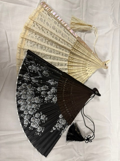 Japanese Fans (1 of 1)
