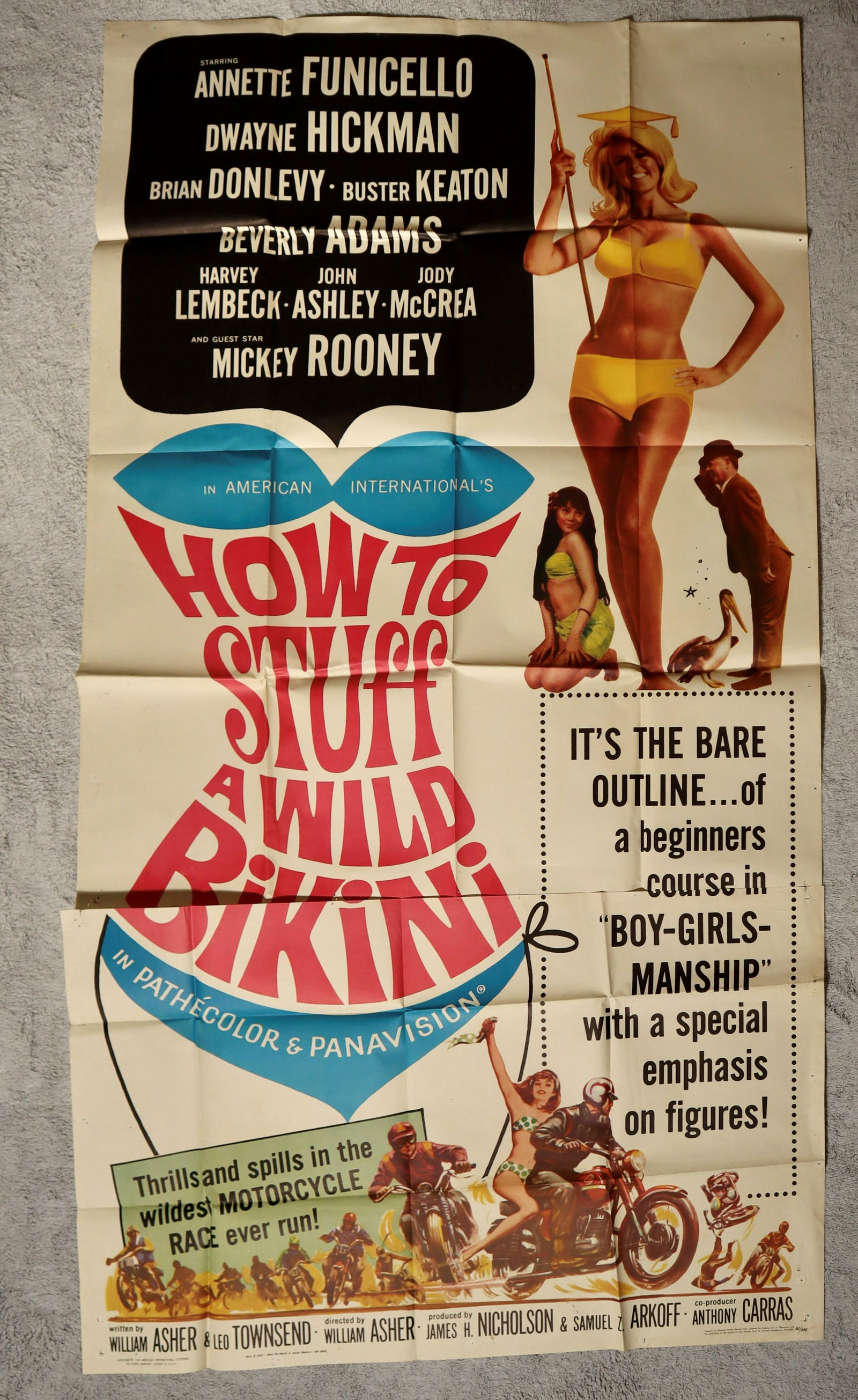 Original How to Stuff a Wild Bikini Three Sheet Movie Poster (1 of 1)