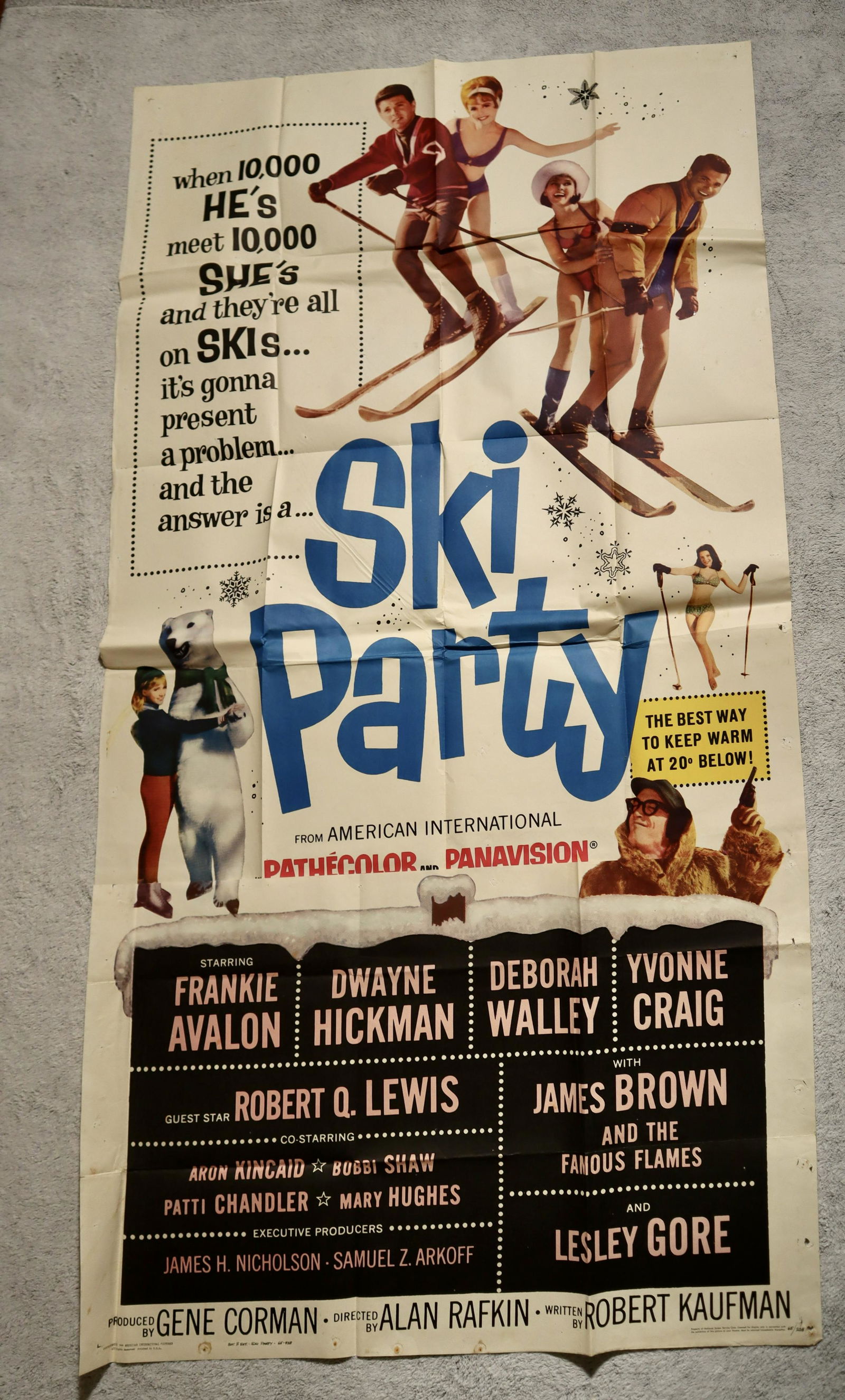 Original Ski Party Three Sheet Movie Poster (1 of 4)