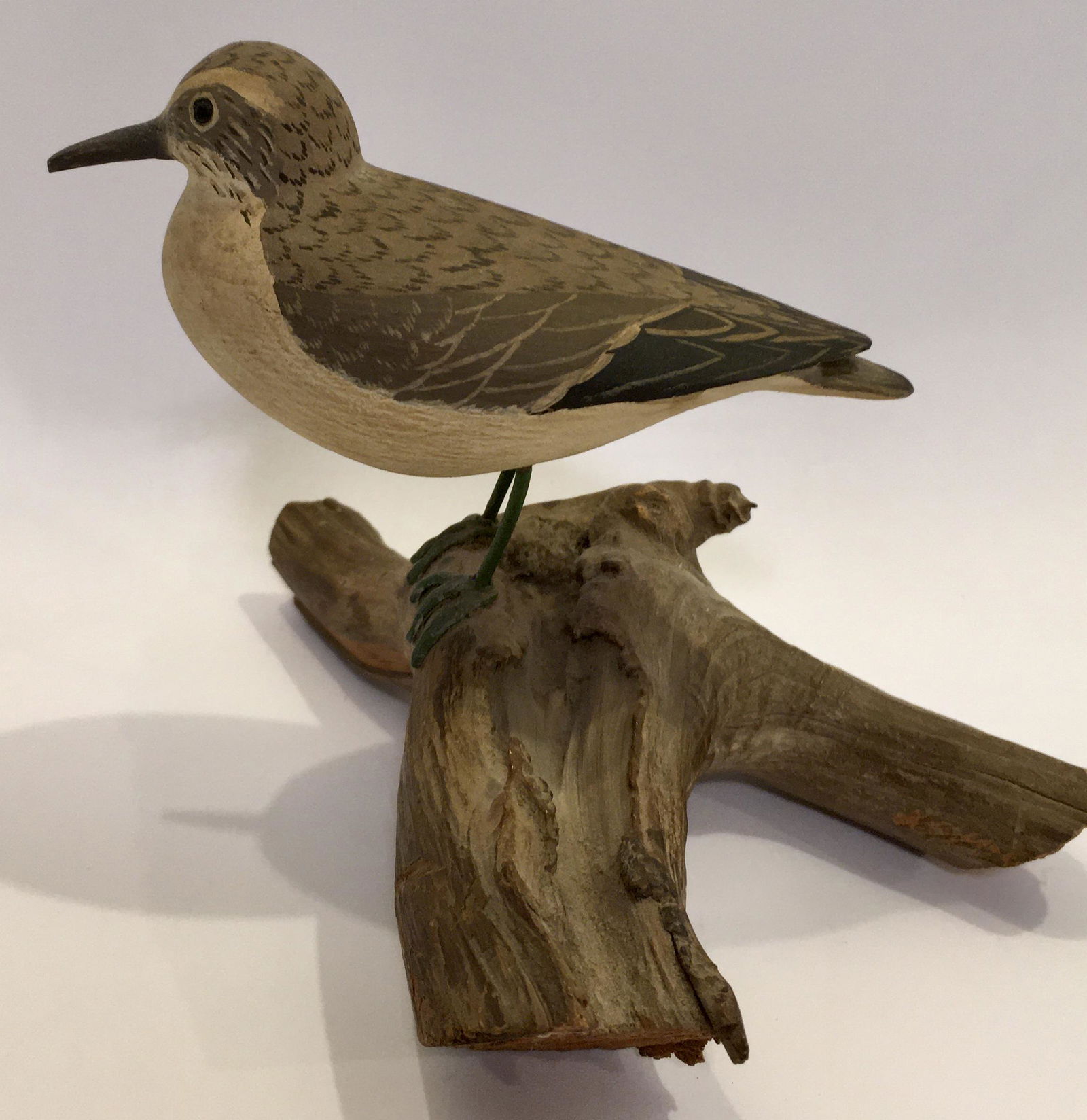 Least Sandpiper by James Lapham (1 of 5)