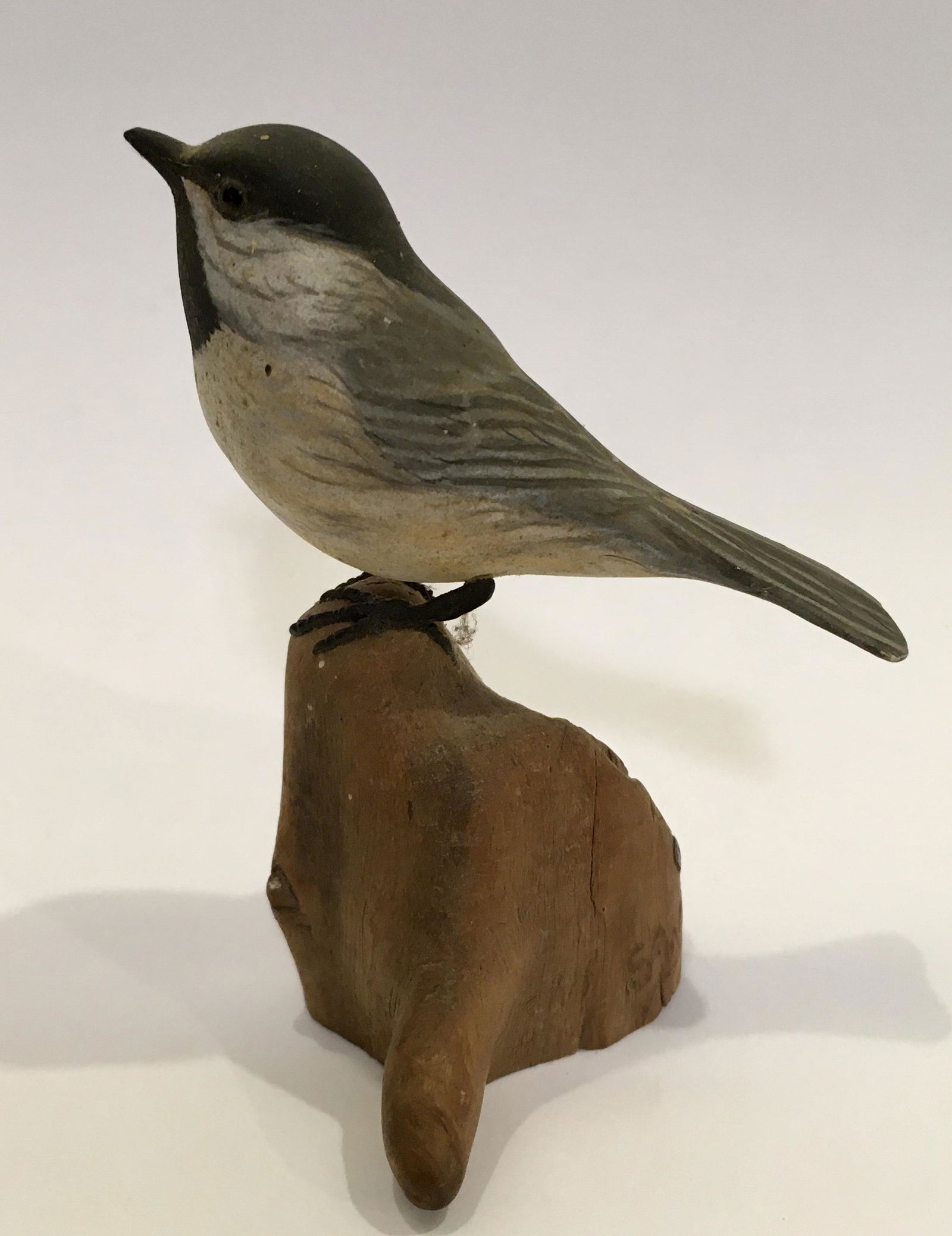 Miniature Chickadee by Steve Weaver (1 of 5)