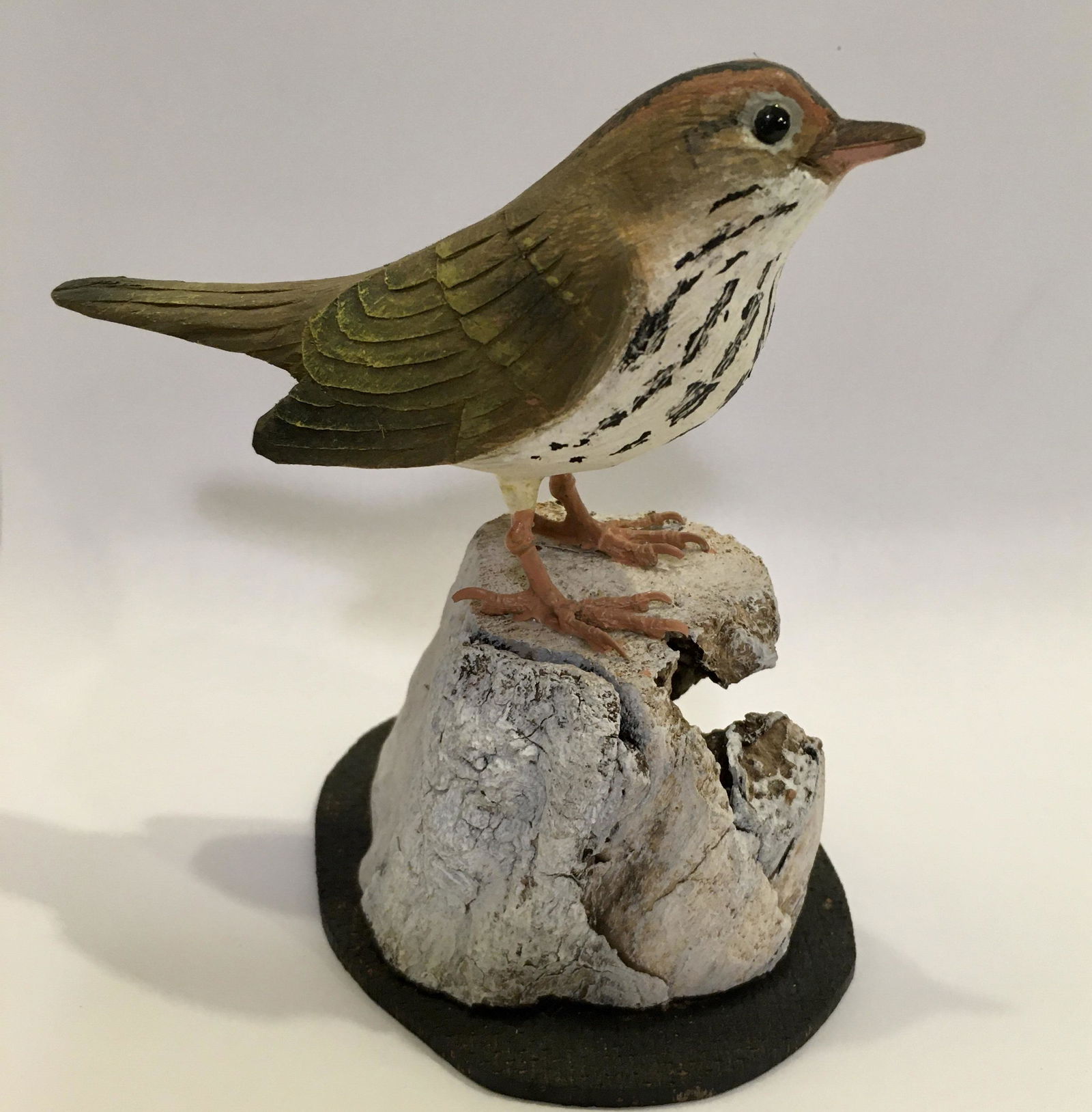 Ovenbird by Stan Sparre (1 of 5)