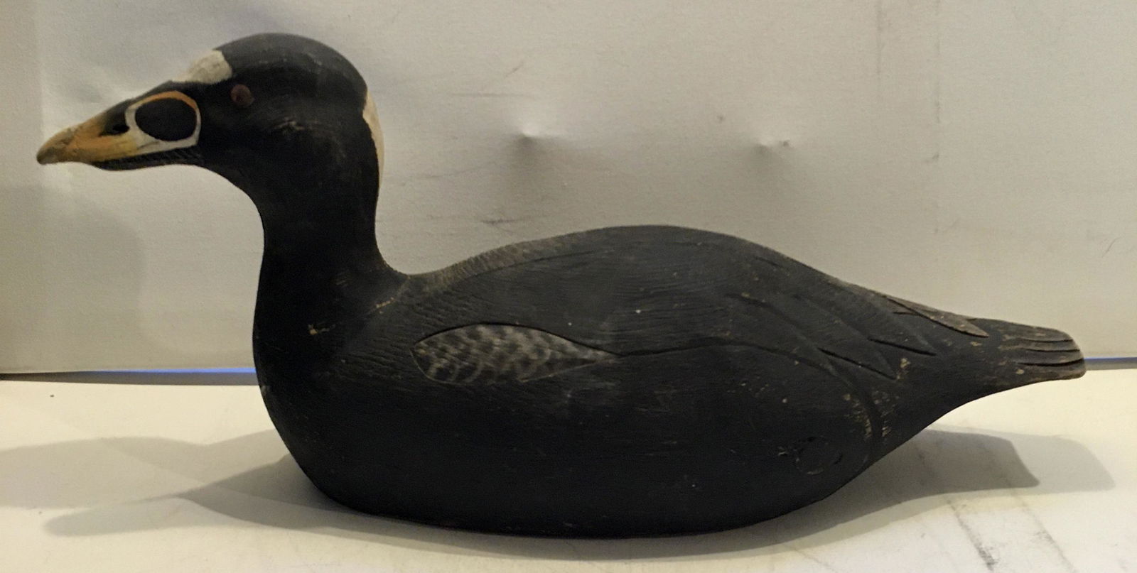 High-Head Scoter by John Mulak (1 of 9)