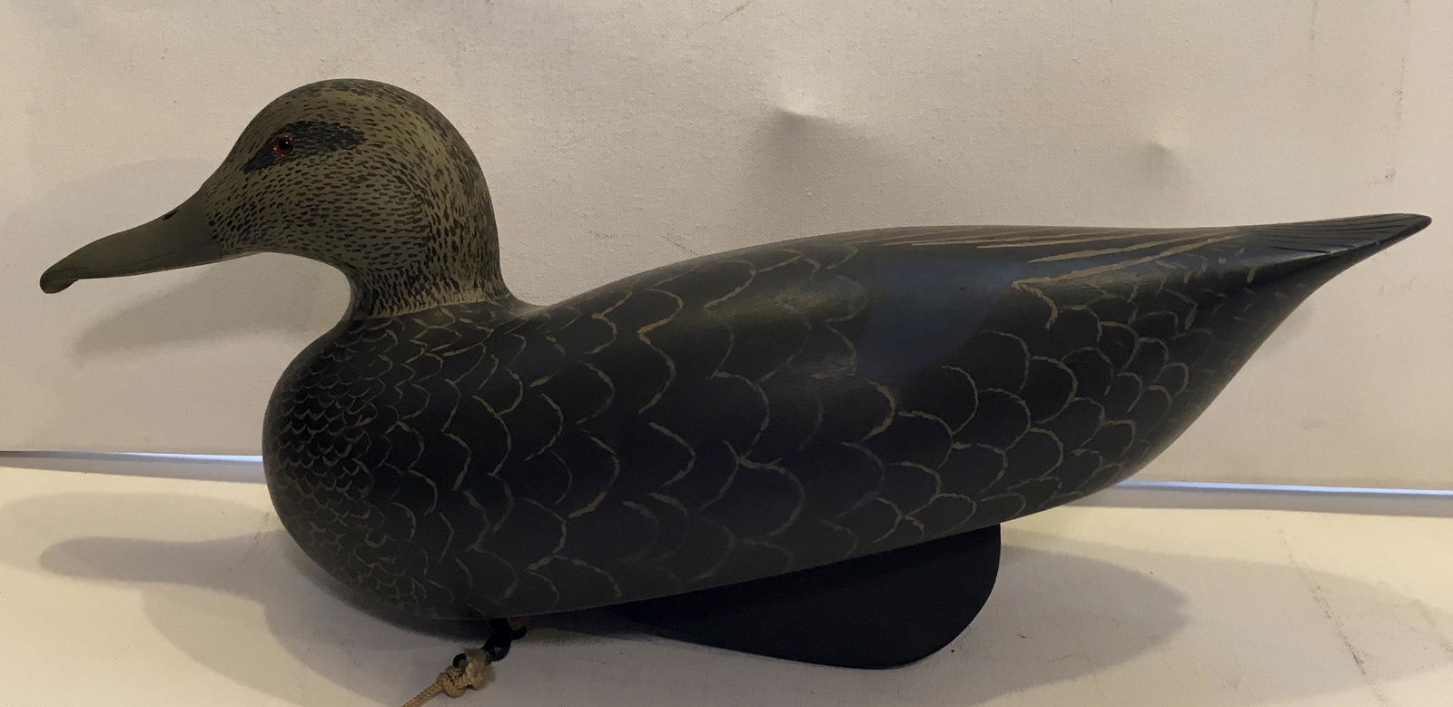 Black Duck by Ed Hawkes (1 of 8)