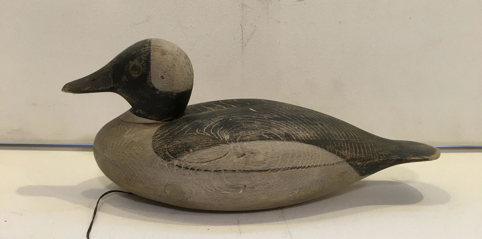 Bufflehead Drake by  Marty Collins (1 of 4)