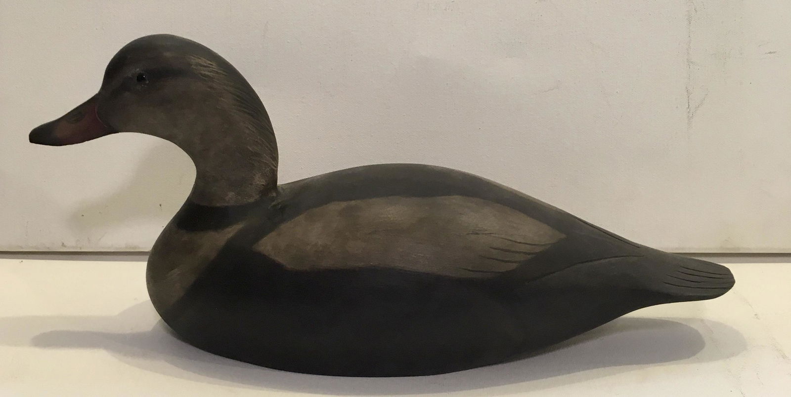 Rare Labrador Duck by Roger Mitchell (1 of 5)