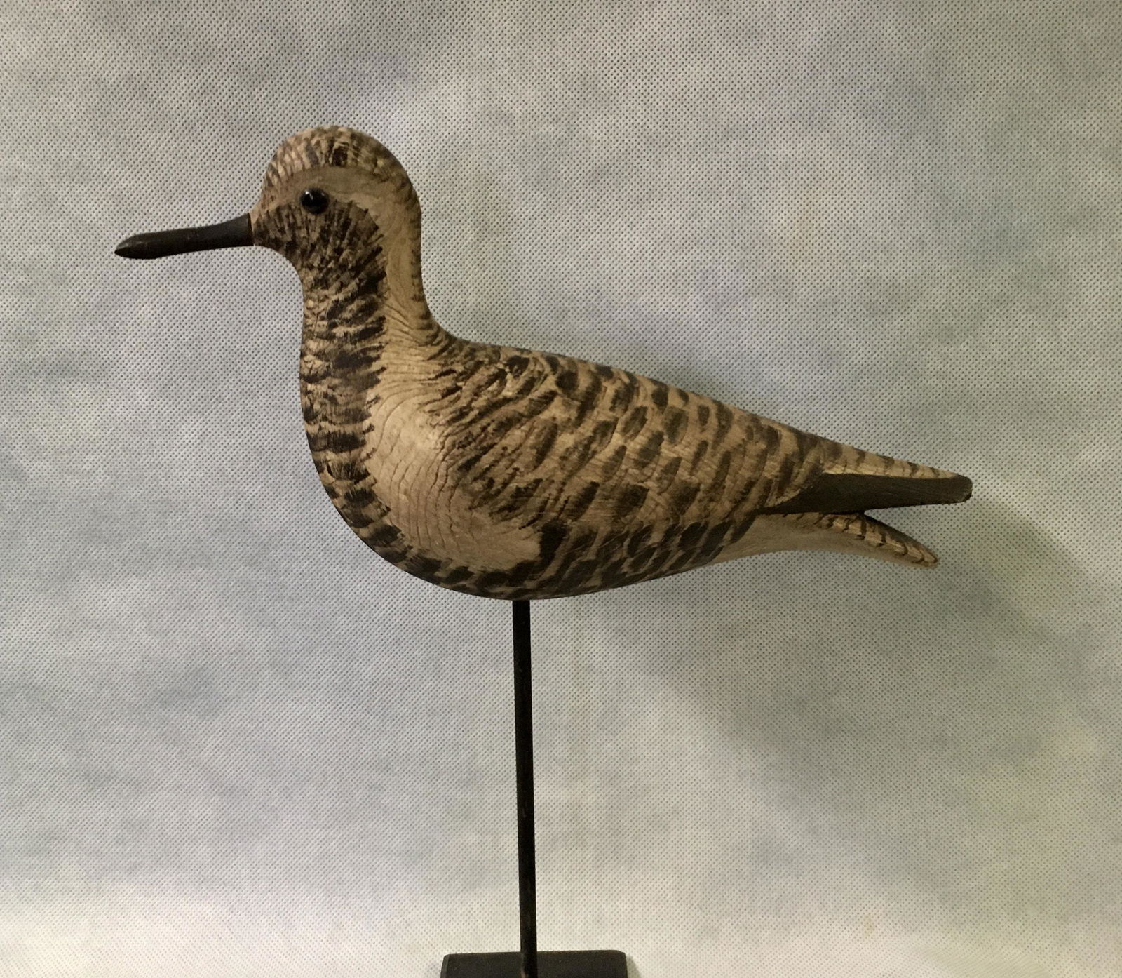 Black-Bellied Plover by Marty Collins (1 of 5)