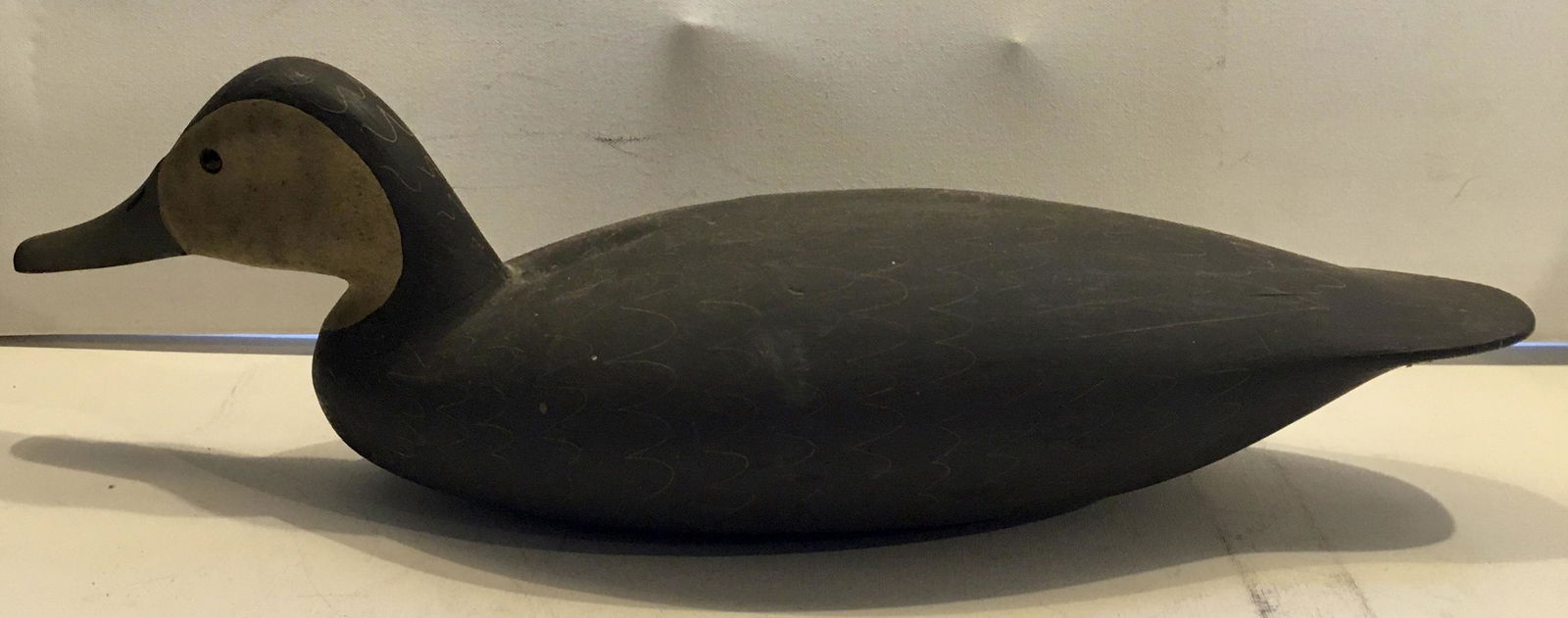 Swimming Black Duck by Jamie Hand (1 of 6)