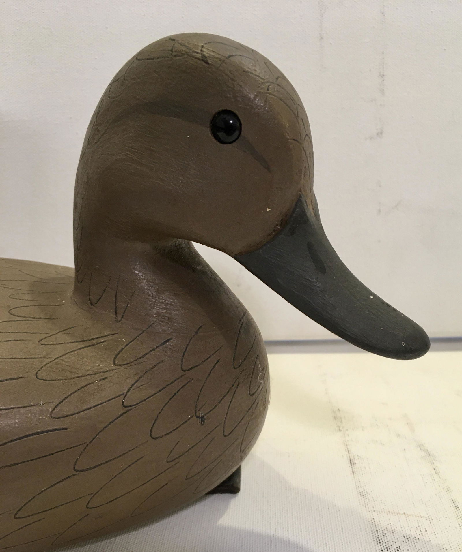 Pintail Hen by Jamie Hand (1 of 7)
