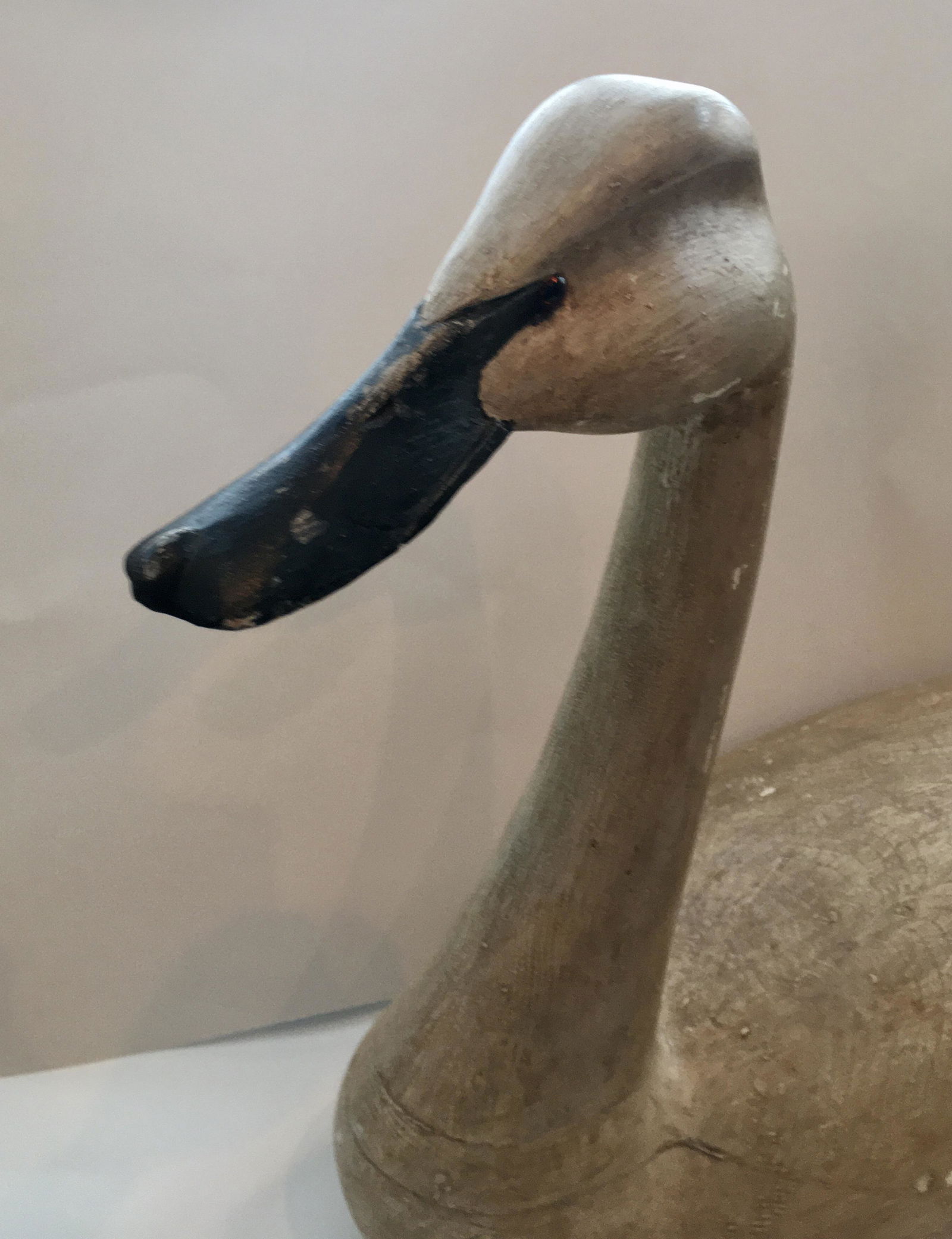 Life Size Delaware River Swan (1 of 3)
