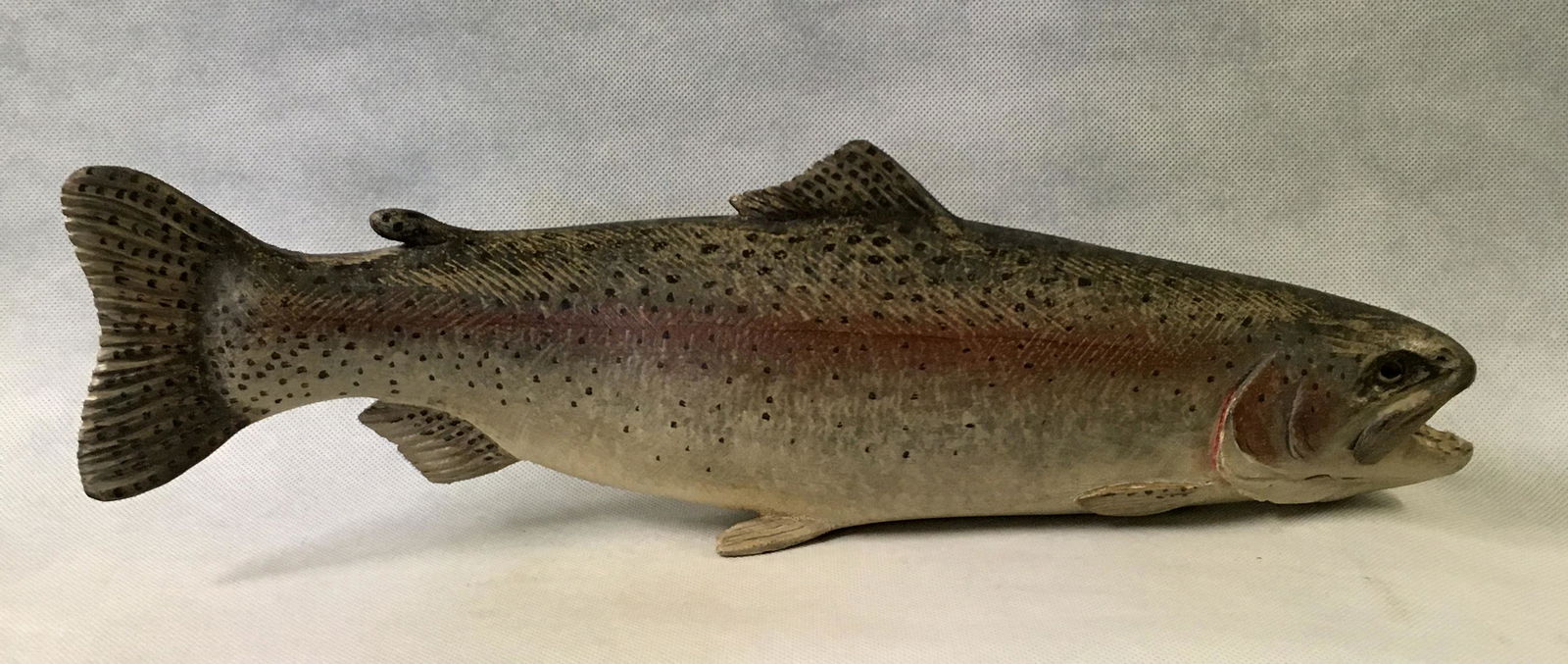 Rainbow Trout by Mike Borrett (1 of 5)