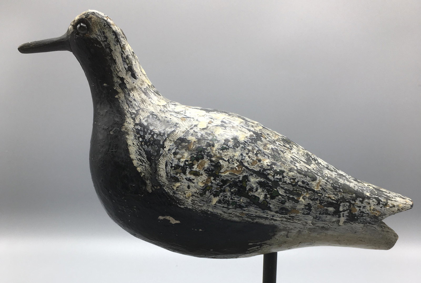 Black-Bellied Plover from Provincetown, MA: A 9 inch shorebird decoy deascensioned, decades ago, from the Shelburne Museum in Vermont collection and still retains the museum's inventory code. The bird also retains a small round numbered bronze 