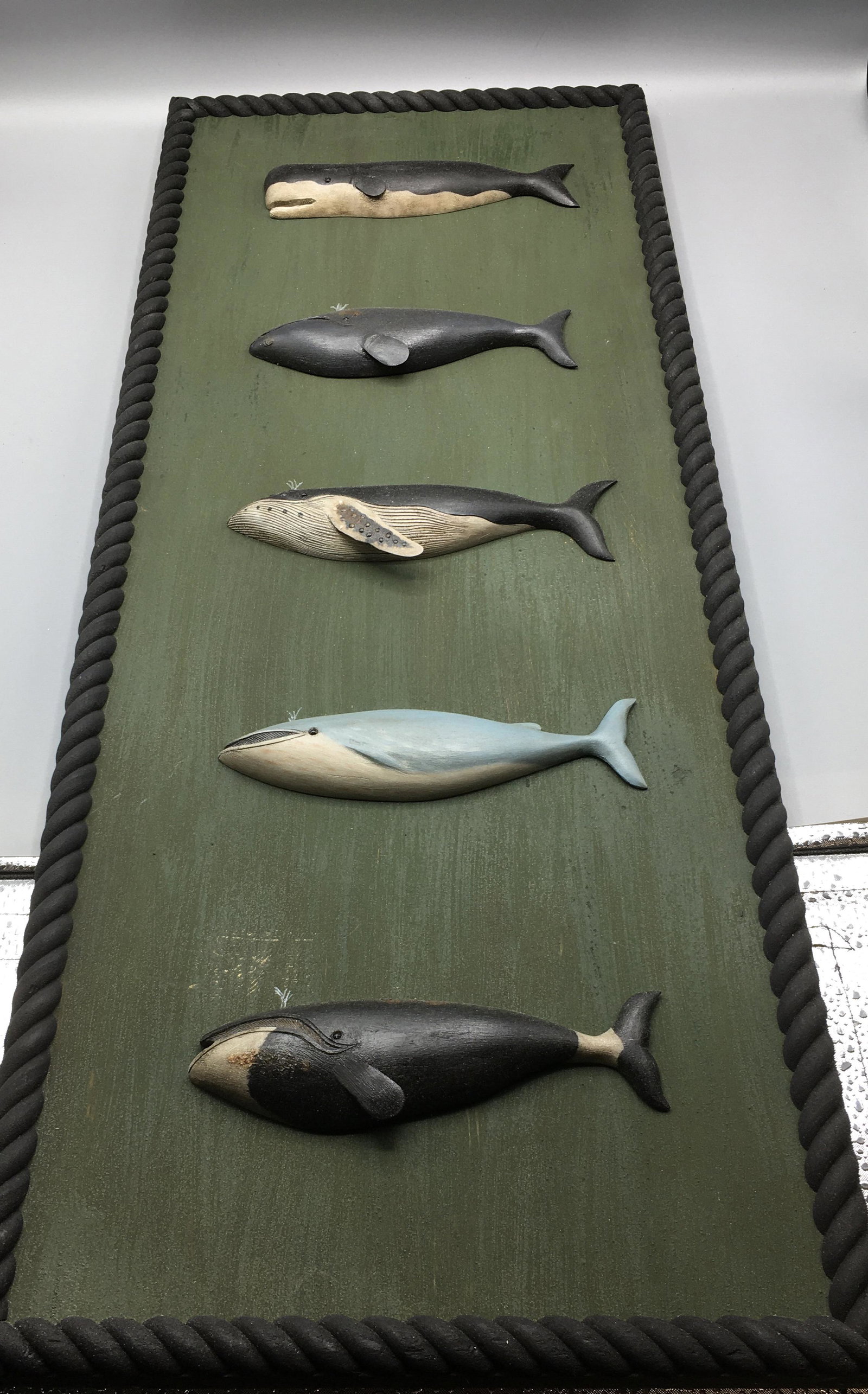 Five Whale Plaques on a Board by Brian Mitchell: An incredible wooden rope bordered 28 by 11 1/4 inch board with five hand carved and painted whale plaques by Brian Mitchell of Boone, NC. This is one of the finest carved whale folk art pieces that w