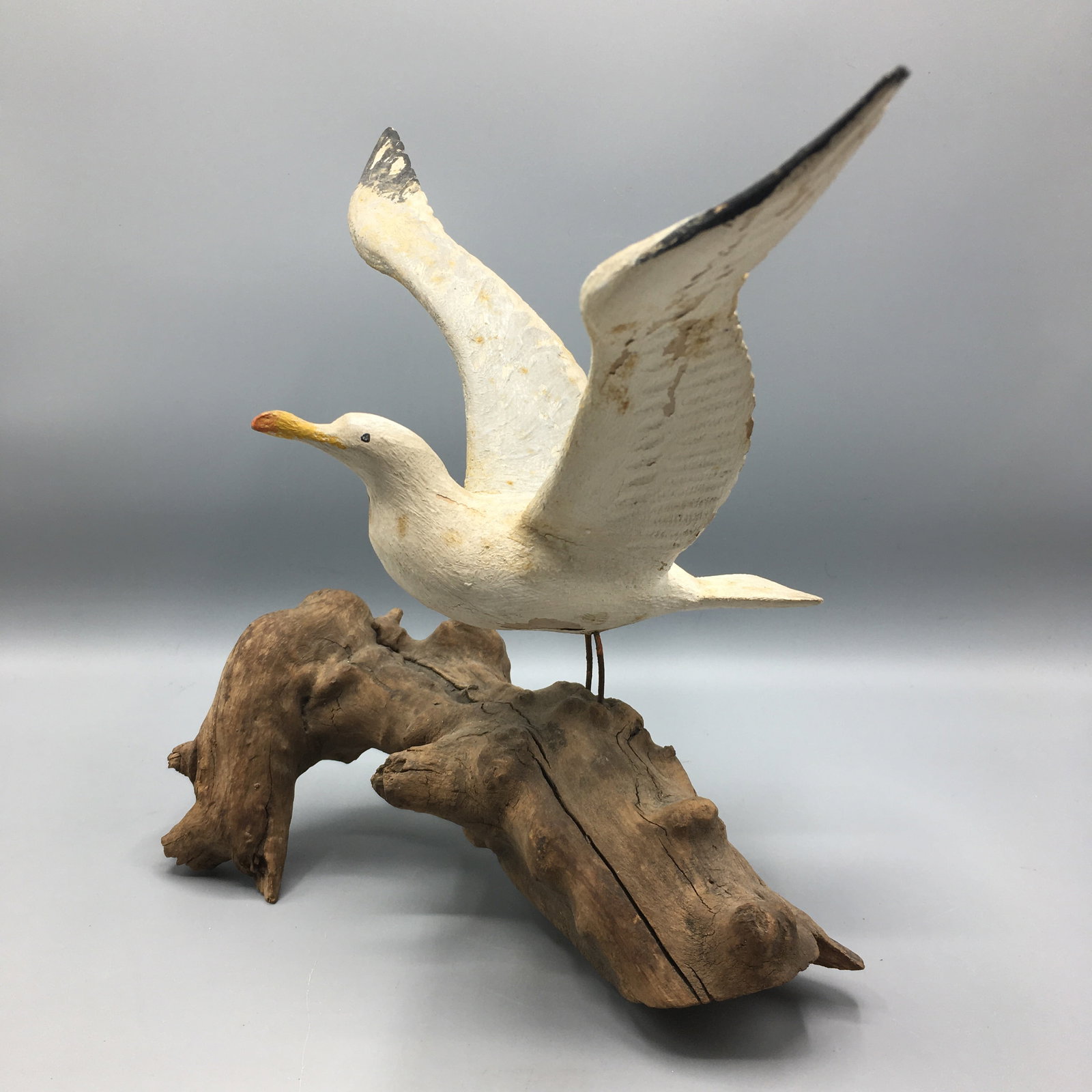 Miniature Seagull Carving: A 6 1/2 by 11 1/2 inch Seagull beginning flight by an Unknown New England Carver, similar to carvings by Peter Peltz from Cape Cod., circa 1950. Original paint with wear, including minor paint flaking