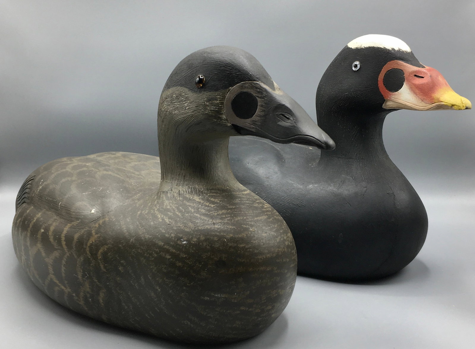 Pair of Surf Scoters by Chas. Buchanan: Two 15 inch Scoter decoys by Charles Buchanan from North Augusta, Ontario, Canada. Superbly carved and signed by the maker on the bottom. Original paint and condition with minimal wear.