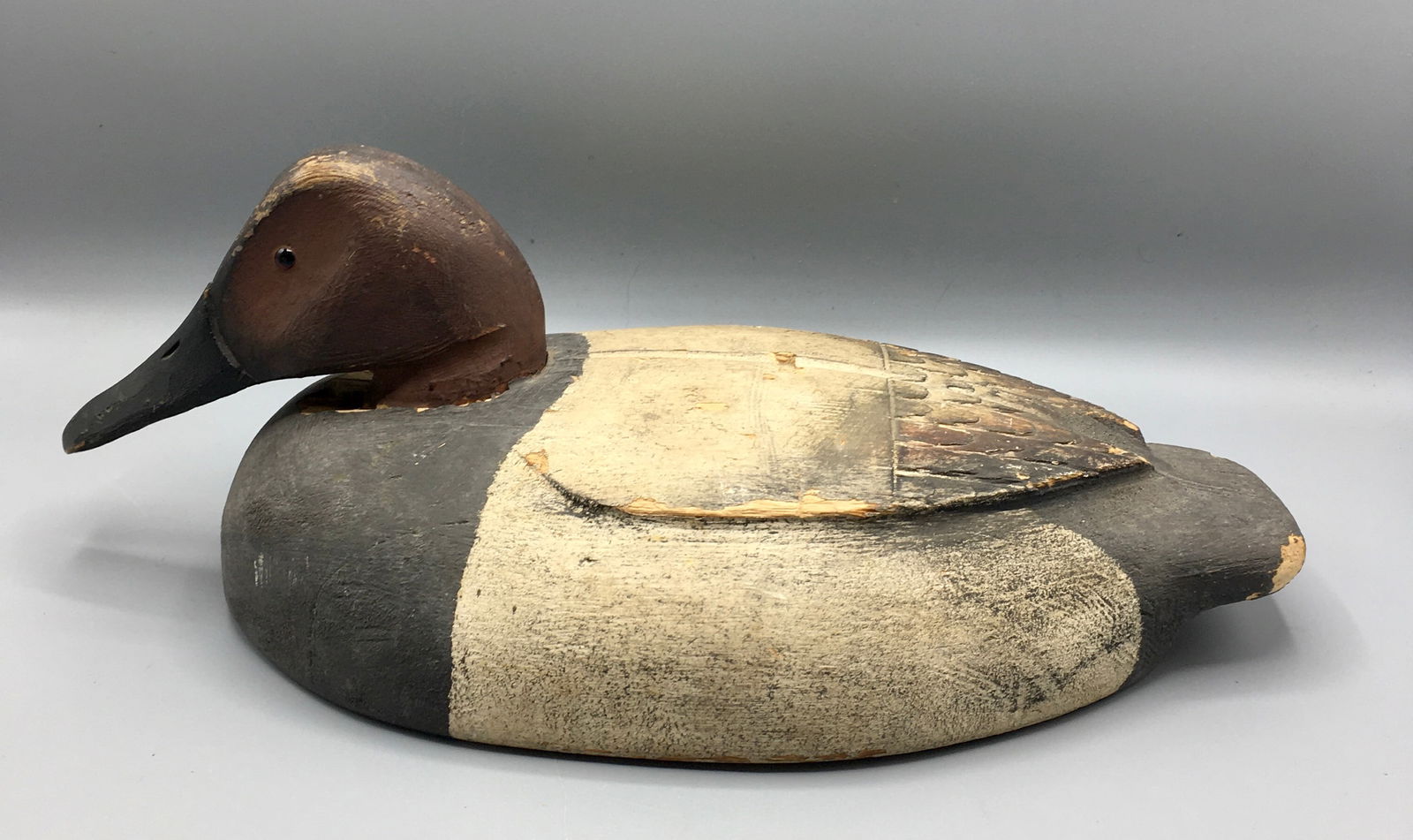 Low Head Canvasback Drake Auction