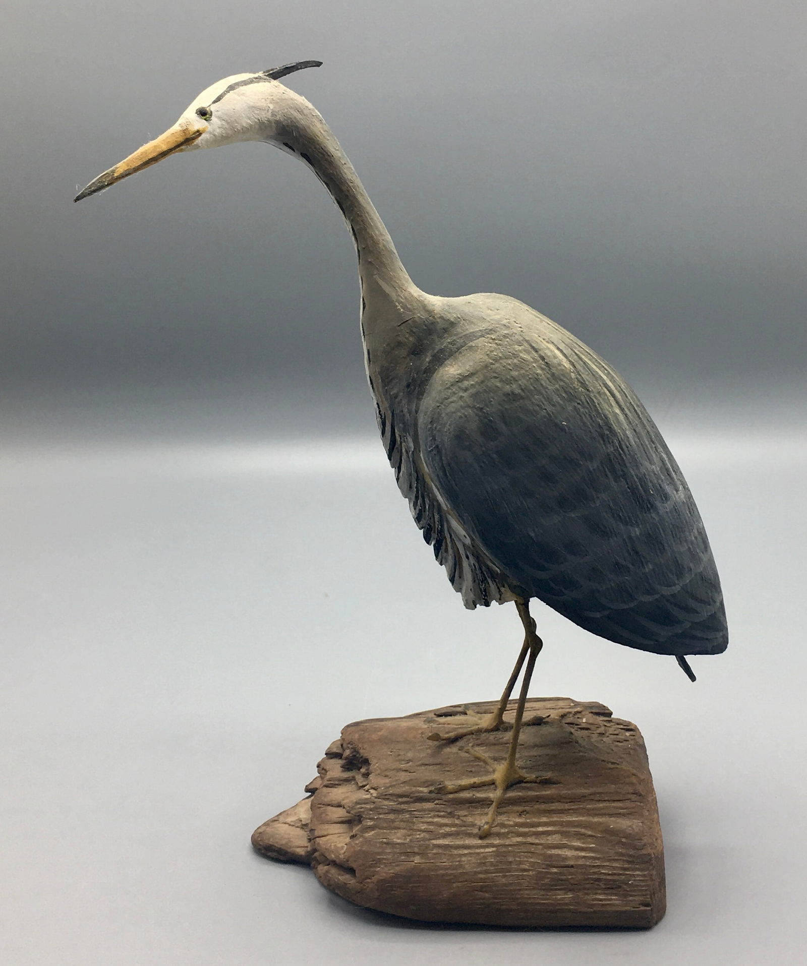 Miniature Great Blue Heron by Peter Peltz (1 of 5)
