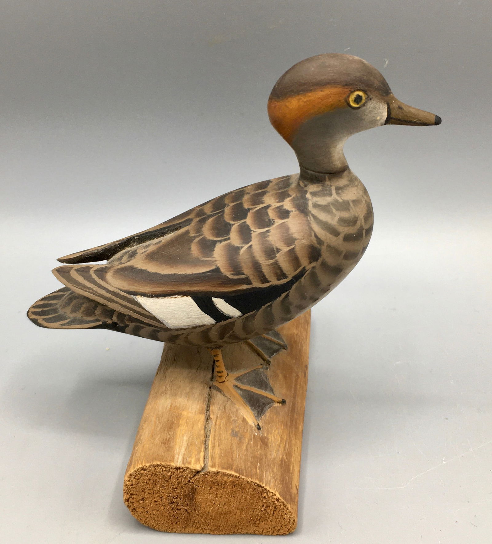 Miniature Hooded Merganser Hen by James Lapham (1 of 5)