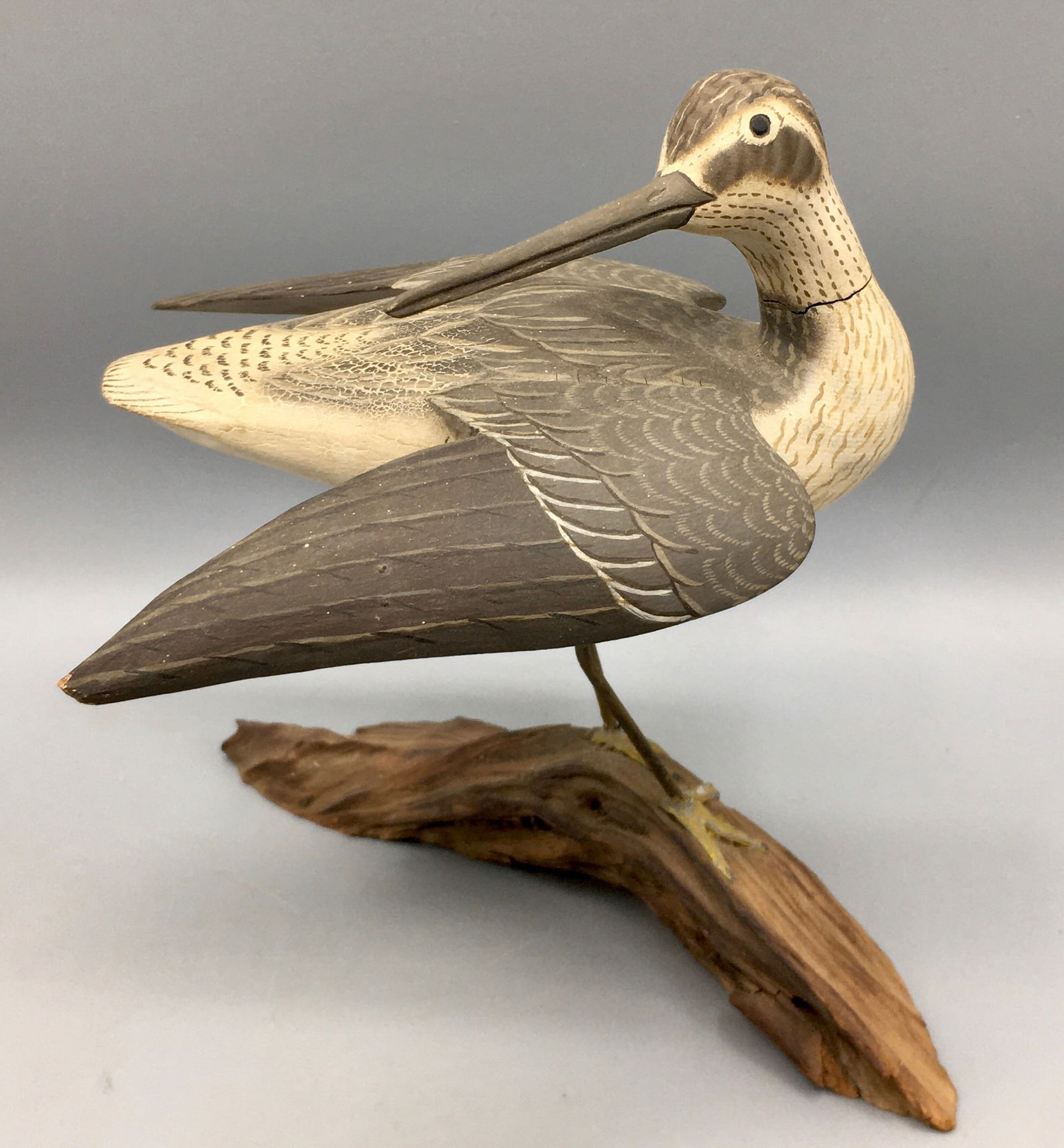 Miniature Yellowlegs by James Lapham (1 of 5)