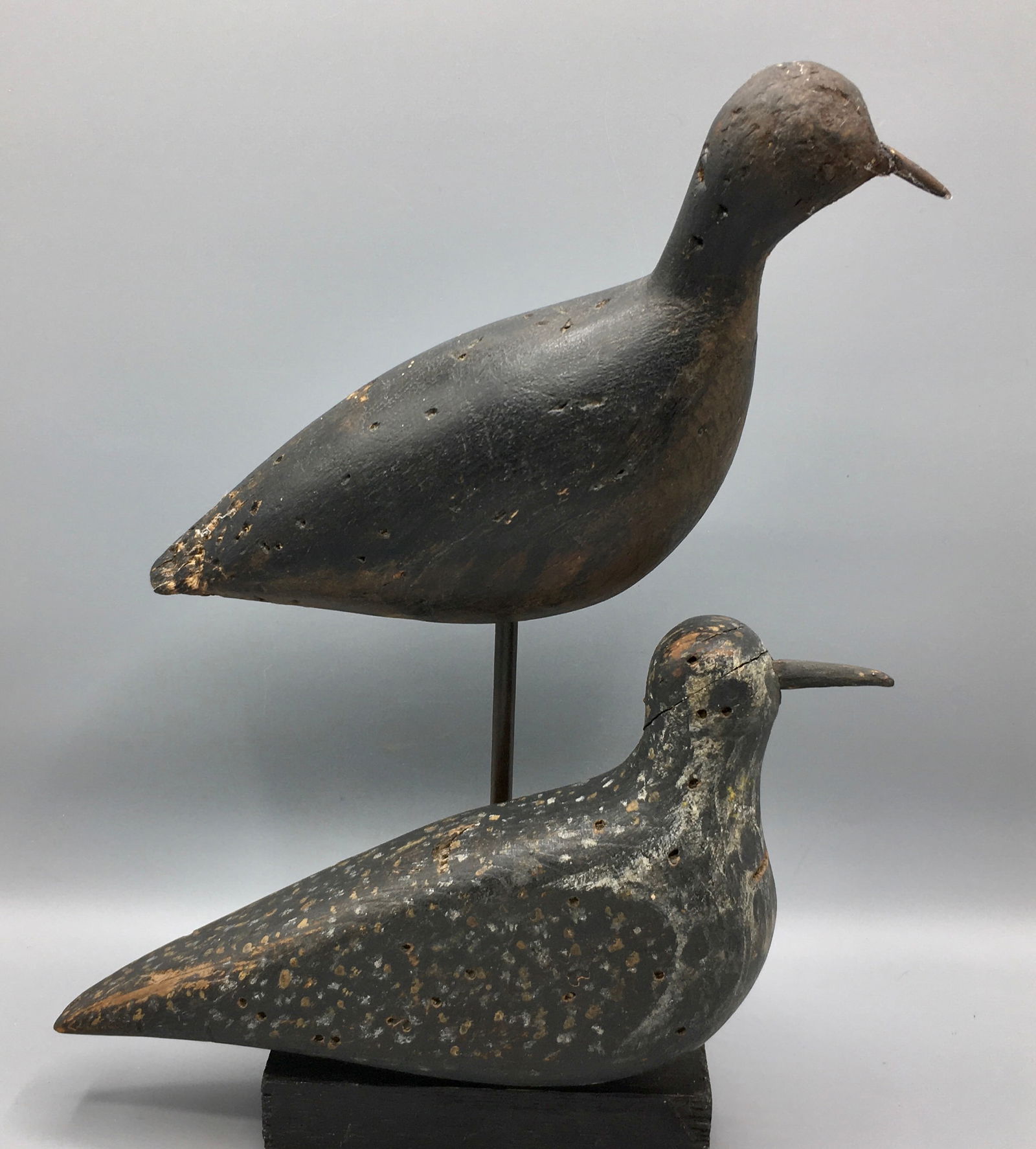 A Nantucket Golden Plover and a Sandpiper (1 of 4)