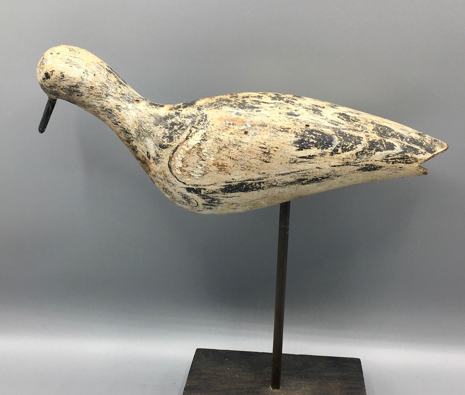 Feeding Yellowlegs from Martha's Vineyard (1 of 4)