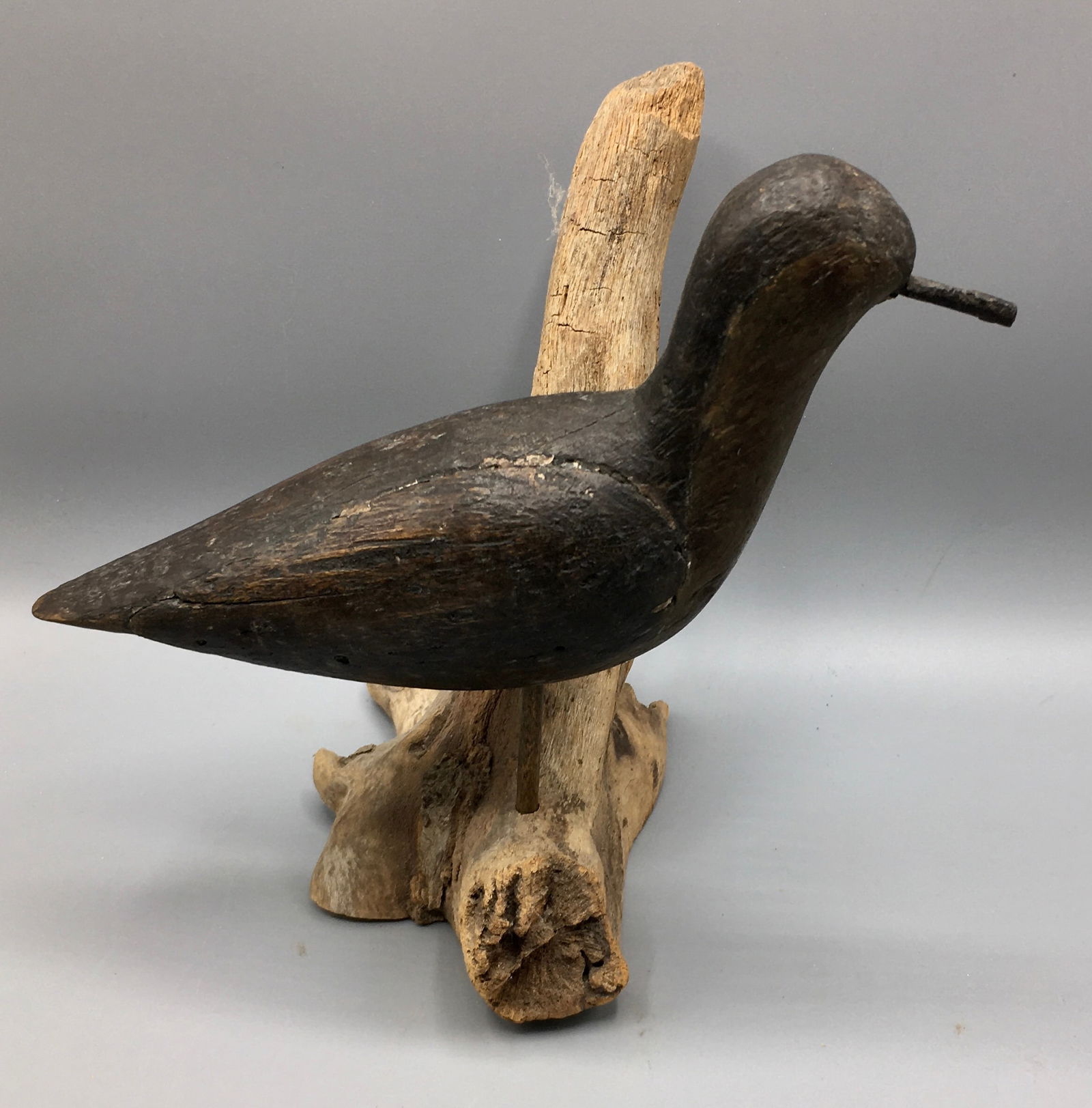 "Peep" Sandpiper from Cape Cod (1 of 5)