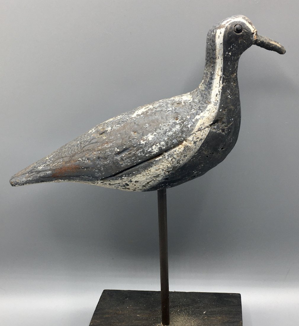 Black-Bellied Plover from Massachusetts (1 of 5)