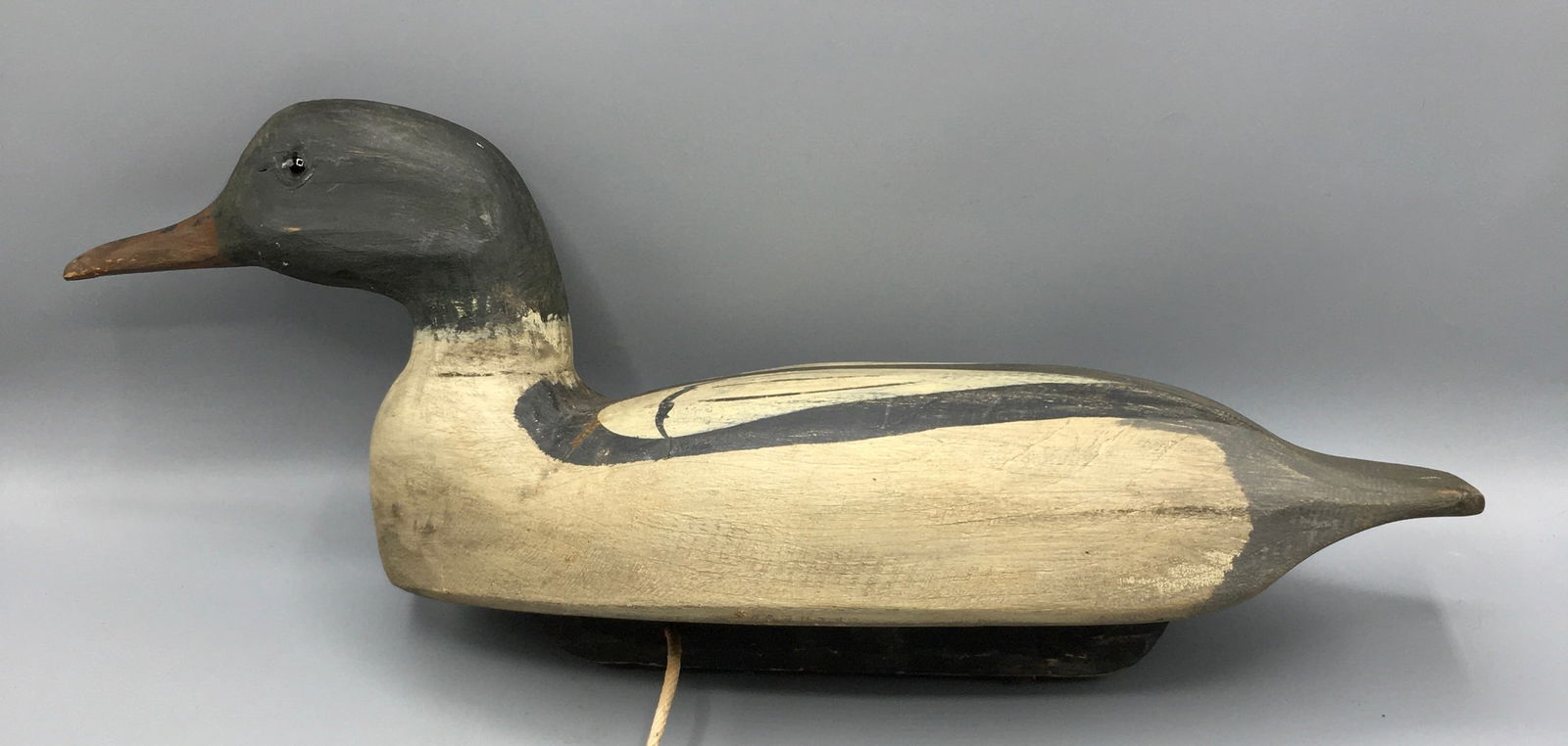 American Merganser Drake (1 of 4)