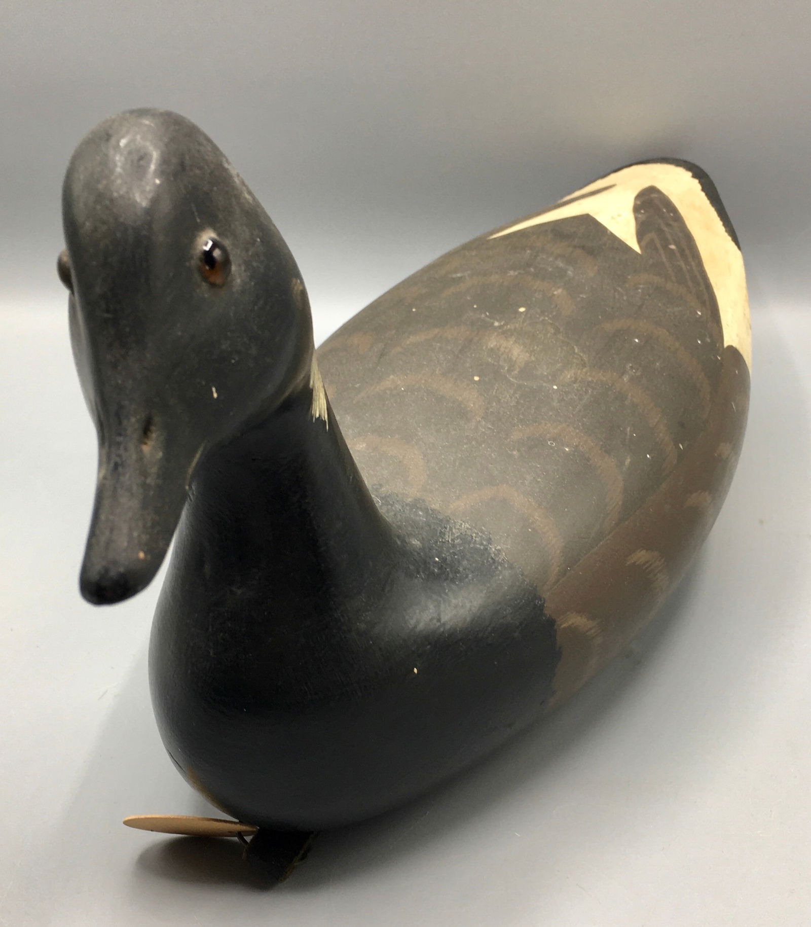 Brant by Ronald Sabatini (1 of 6)