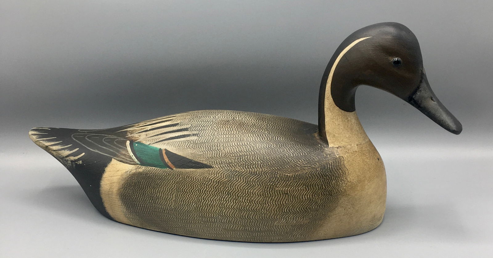 Pintail Drake by Ken Kirby (1 of 4)
