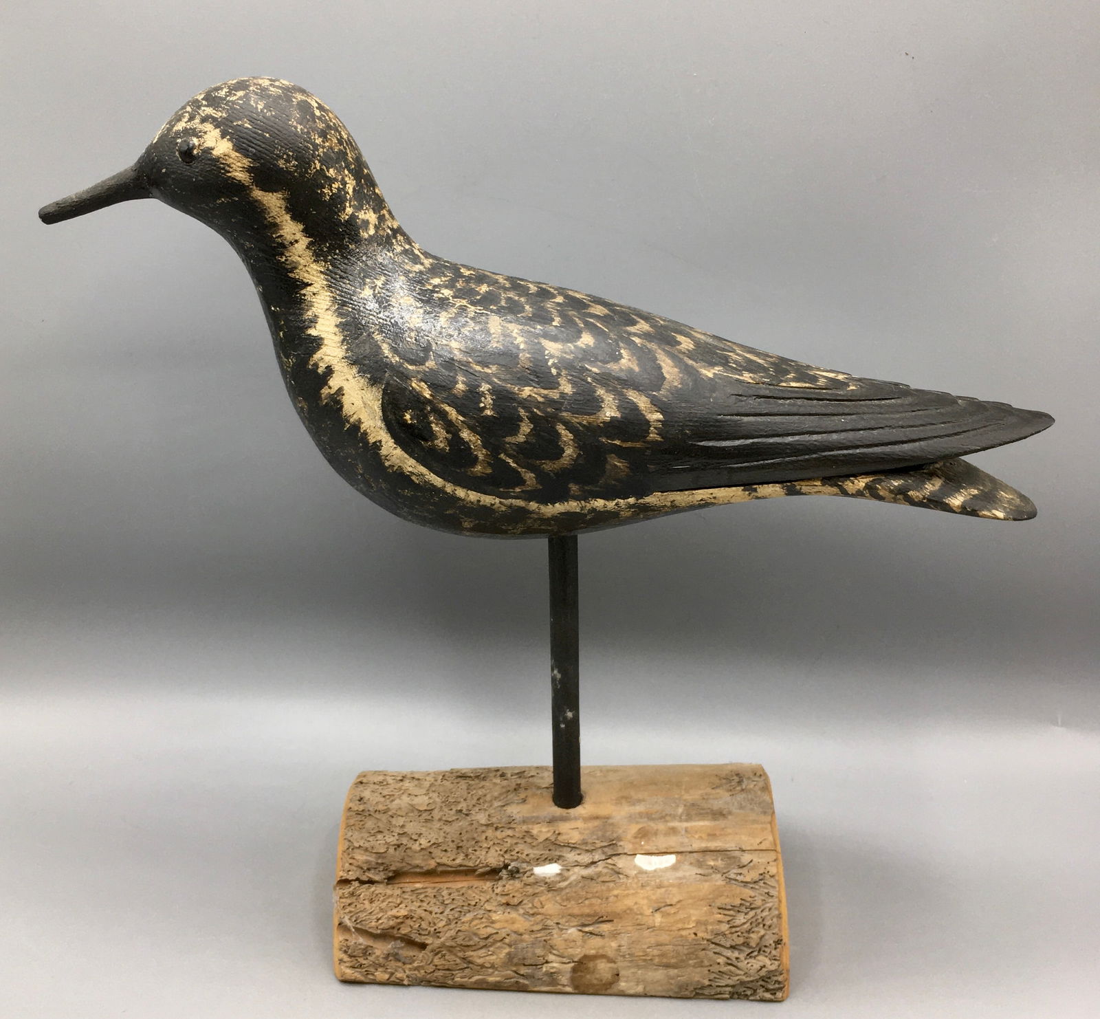 Black-Bellied Plover by Ken Kirby (1 of 4)