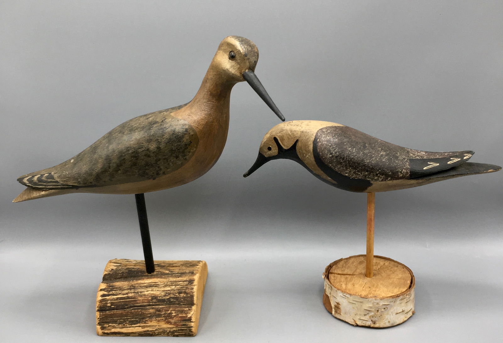 Two New Jersey Shorebirds (1 of 4)