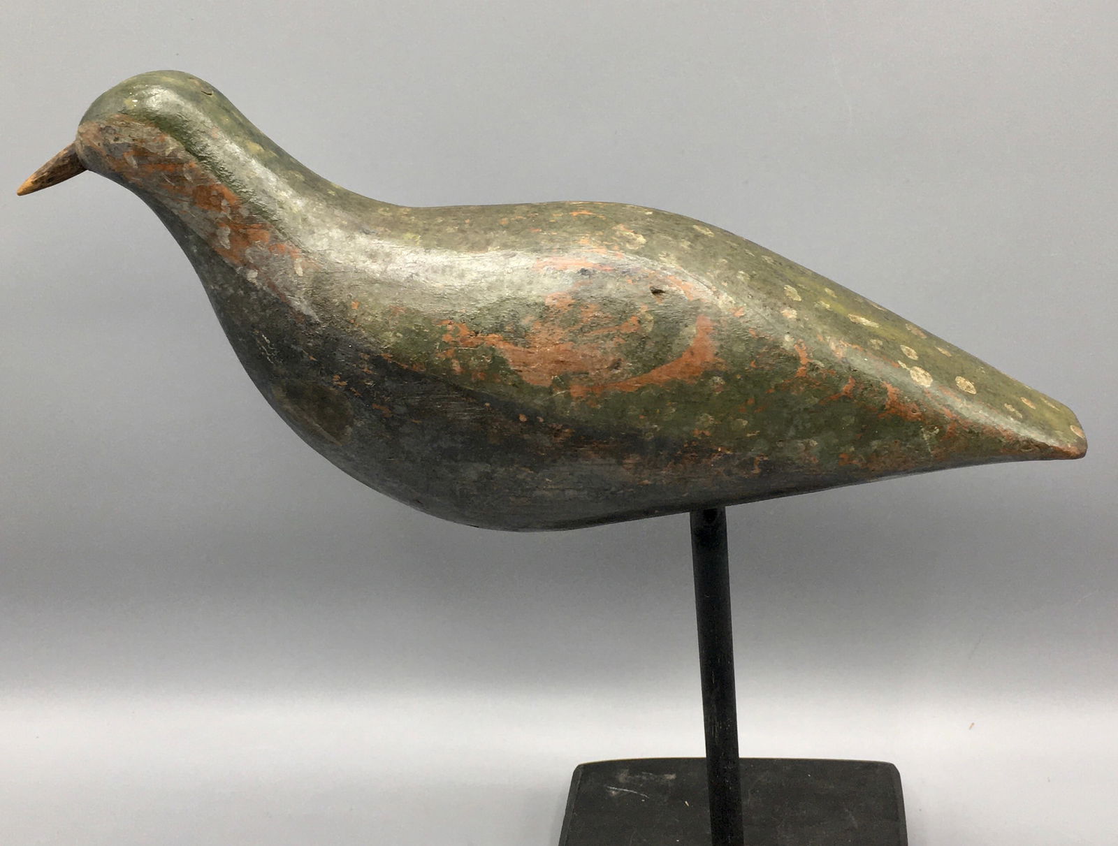 Green-Backed Plover attr. to Dan Showell (1 of 4)