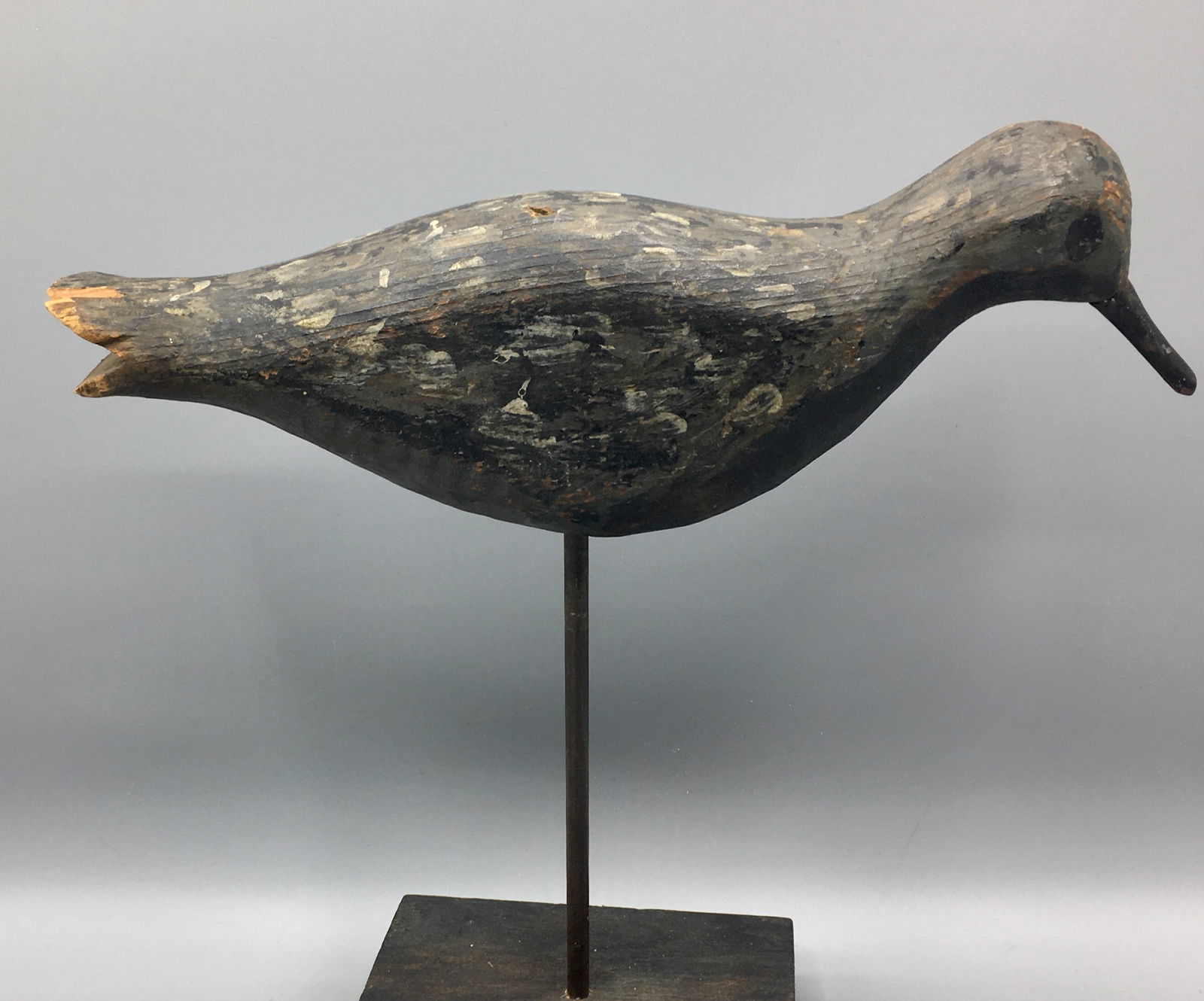 Running Black-Bellied Plover Decoy (1 of 5)