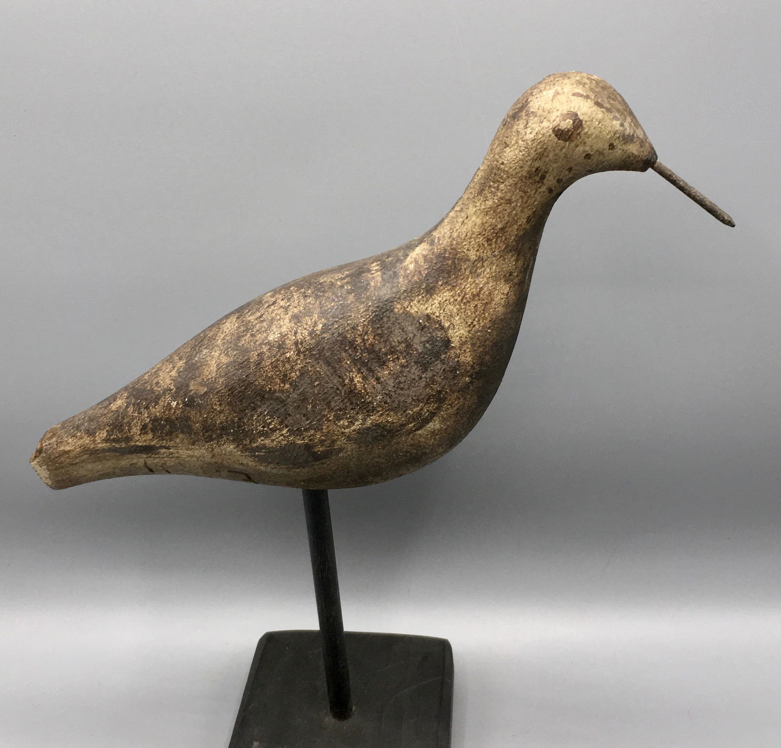 Early Factory Yellowlegs Shorebird (1 of 4)