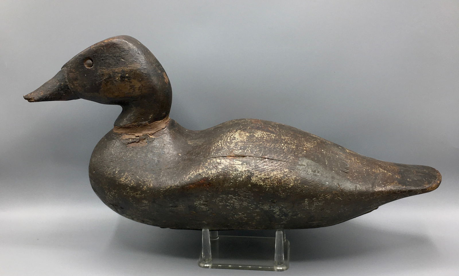 Early Canvasback Hen attributed to J. N. Dodge (1 of 6)