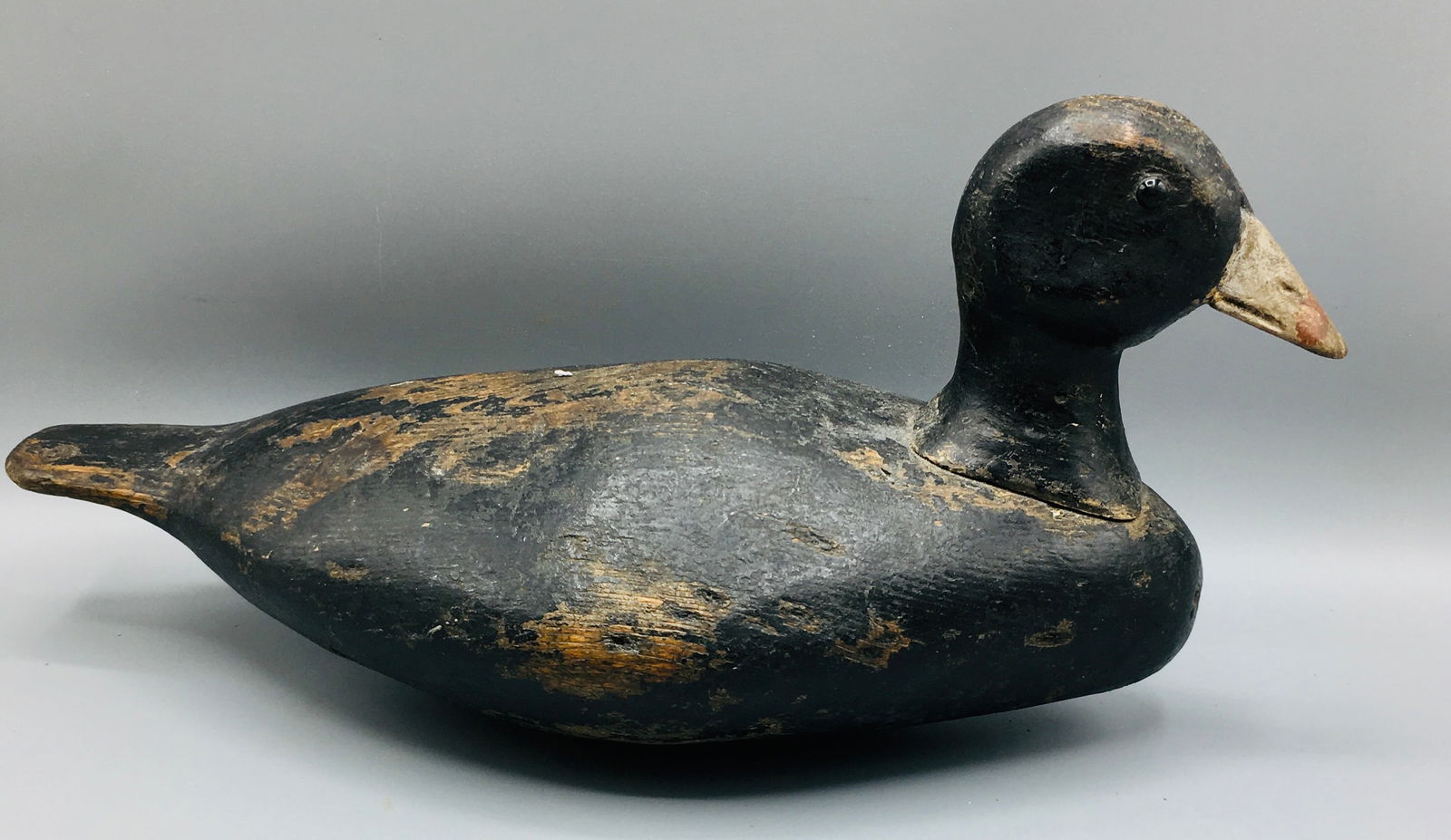 Coot Decoy by George Stevens (1 of 5)