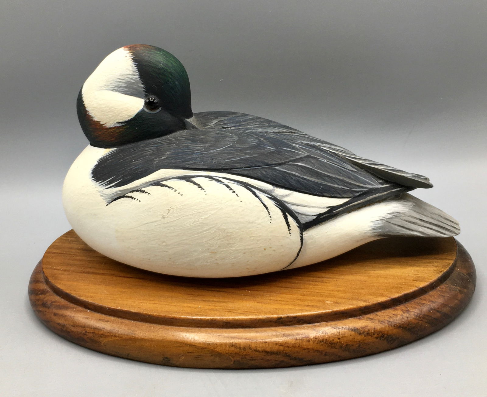 Two-Thirds-Size Bufflehead Drake by Rand Gleason (1 of 5)