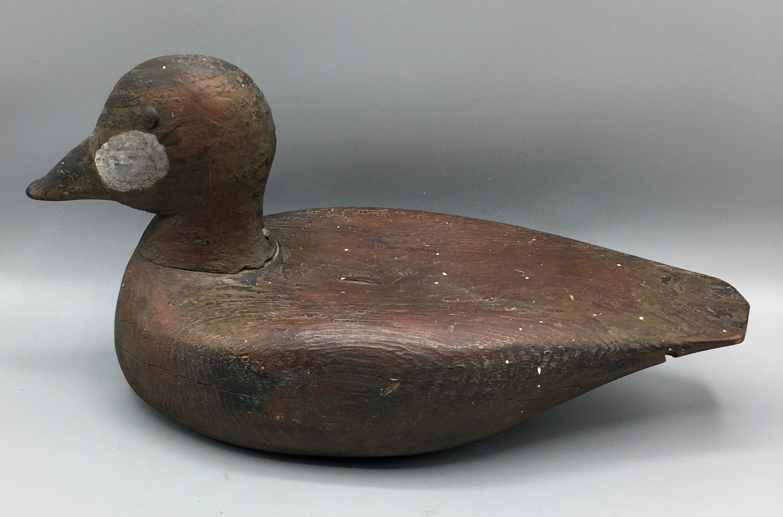 Ruddy Duck attributed to North Carolina (1 of 4)