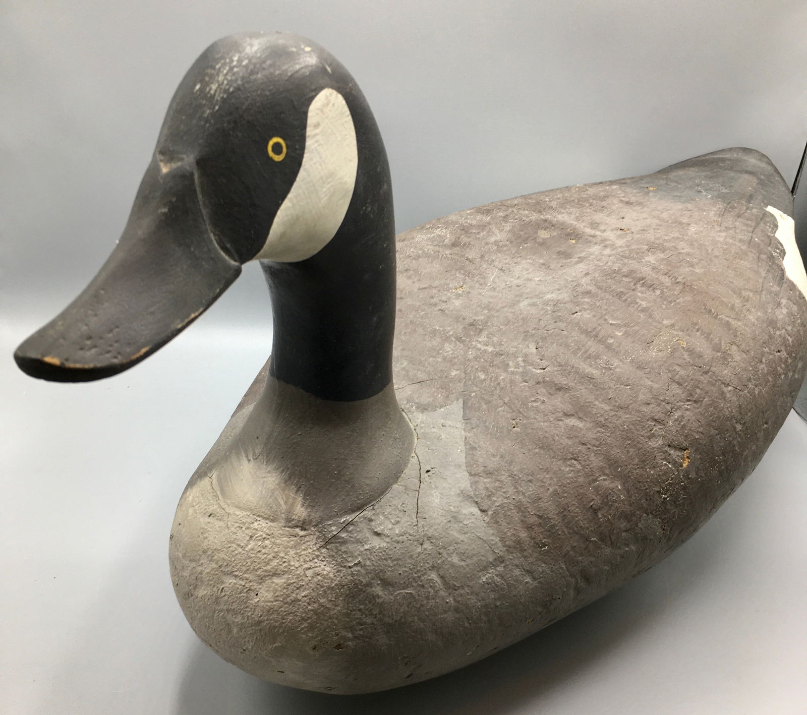 Canada Goose by Madison Mitchell (1 of 6)